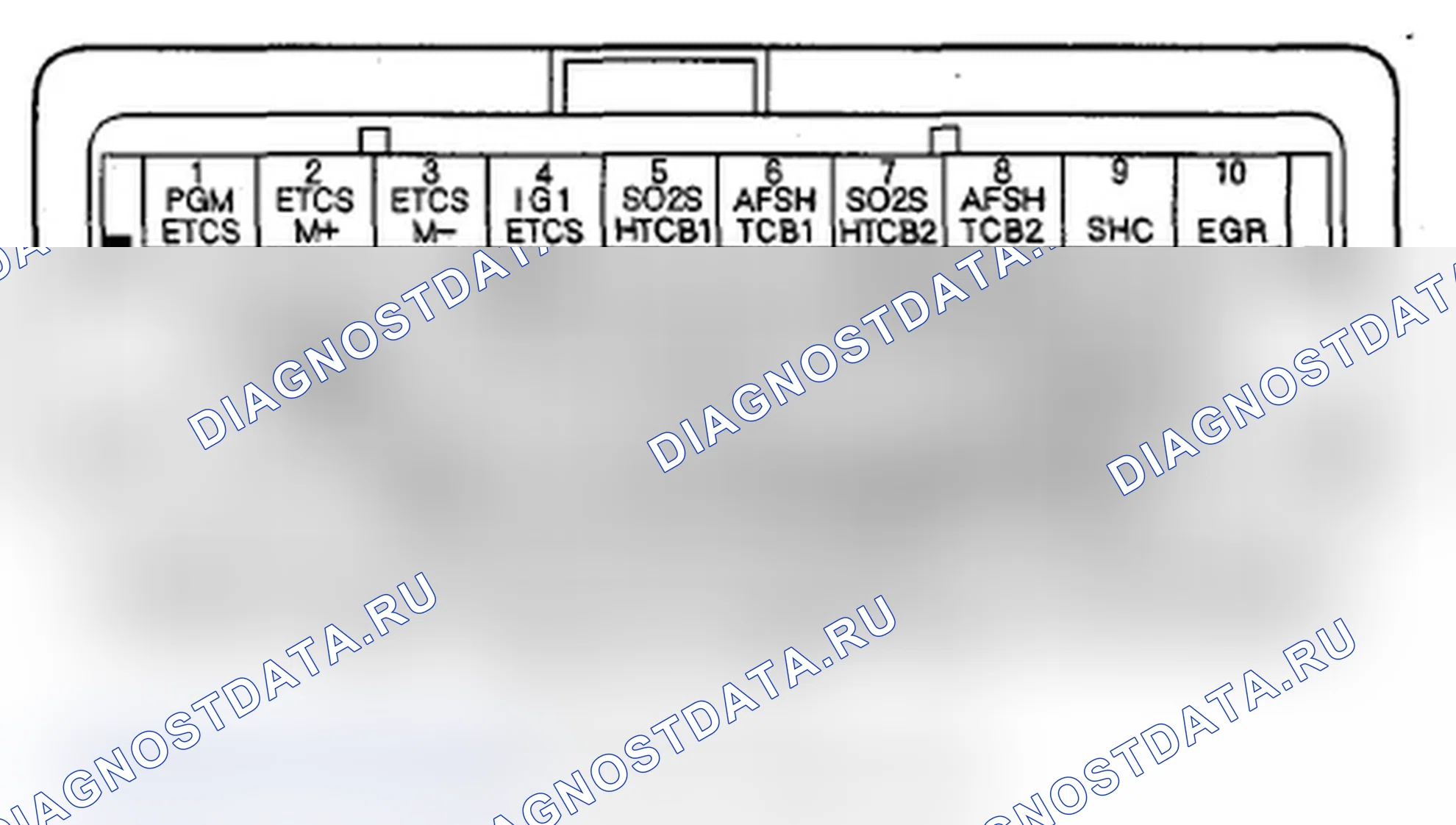 Рис. 221: Входы и выходы ИКМ разъема C (o) (49P). Acura MDX II рестайлинг