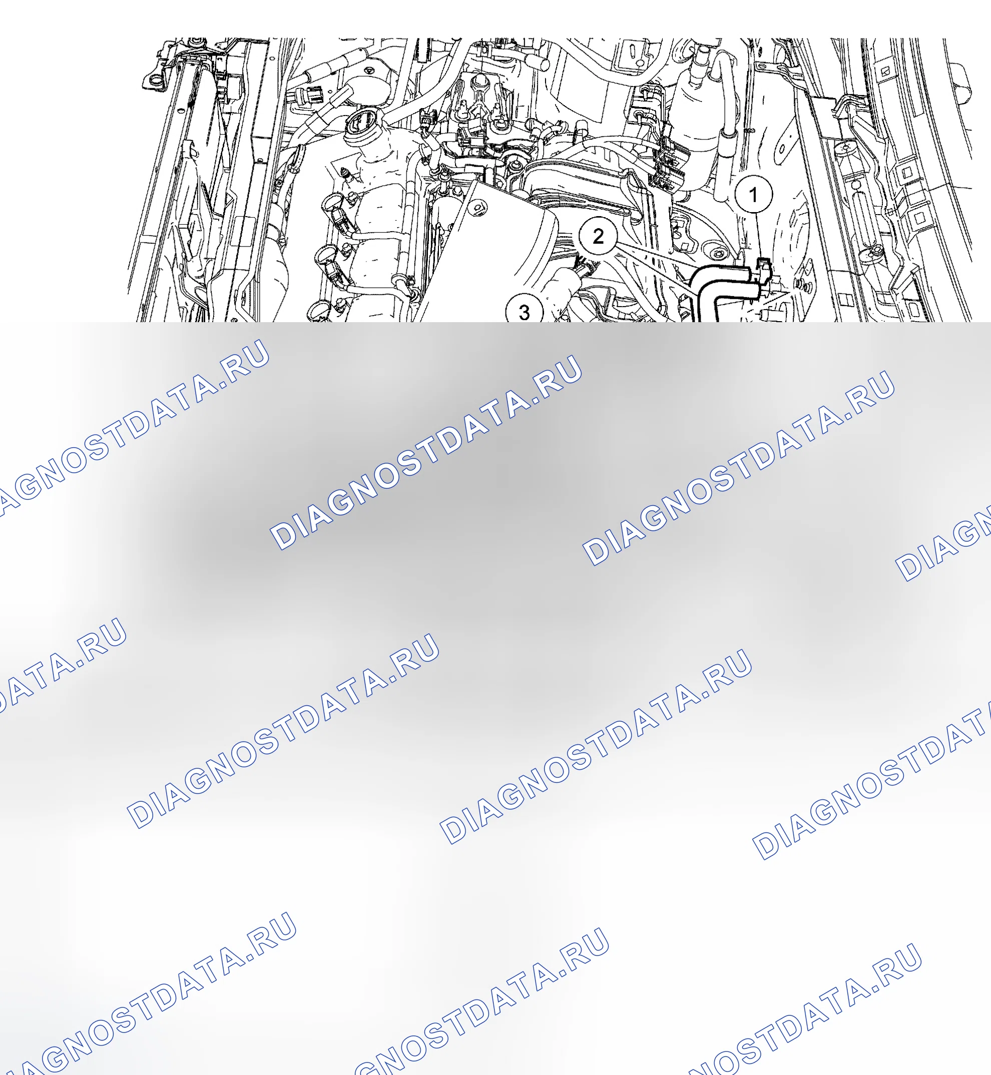 Рис. 1: Шланг нагревателя - 3,0 л (4V). Ford Escape I рестайлинг