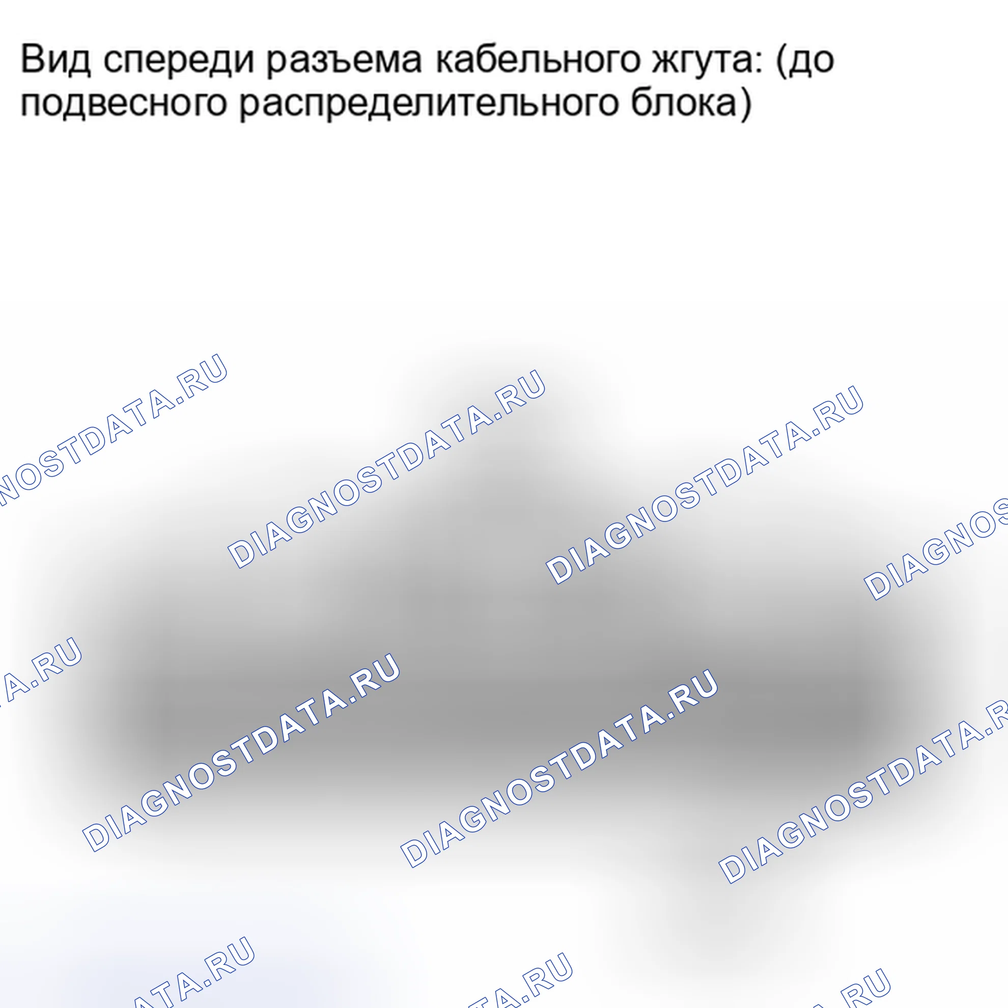 Рис. 130. Lexus IS F I