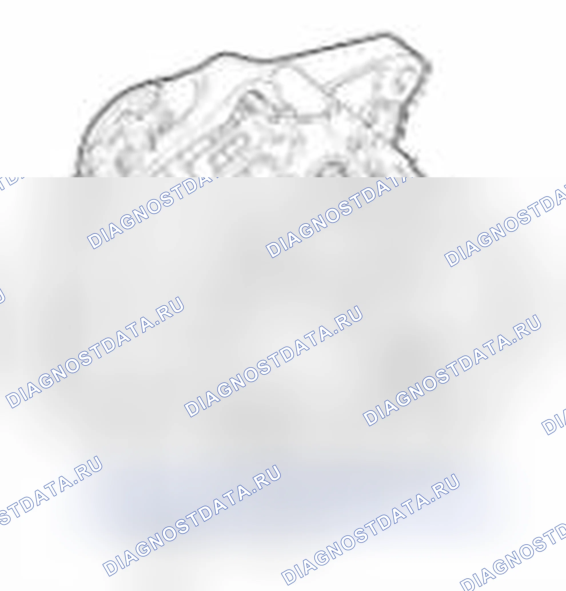 Рис. 229. Geely Vision X3 Pro I