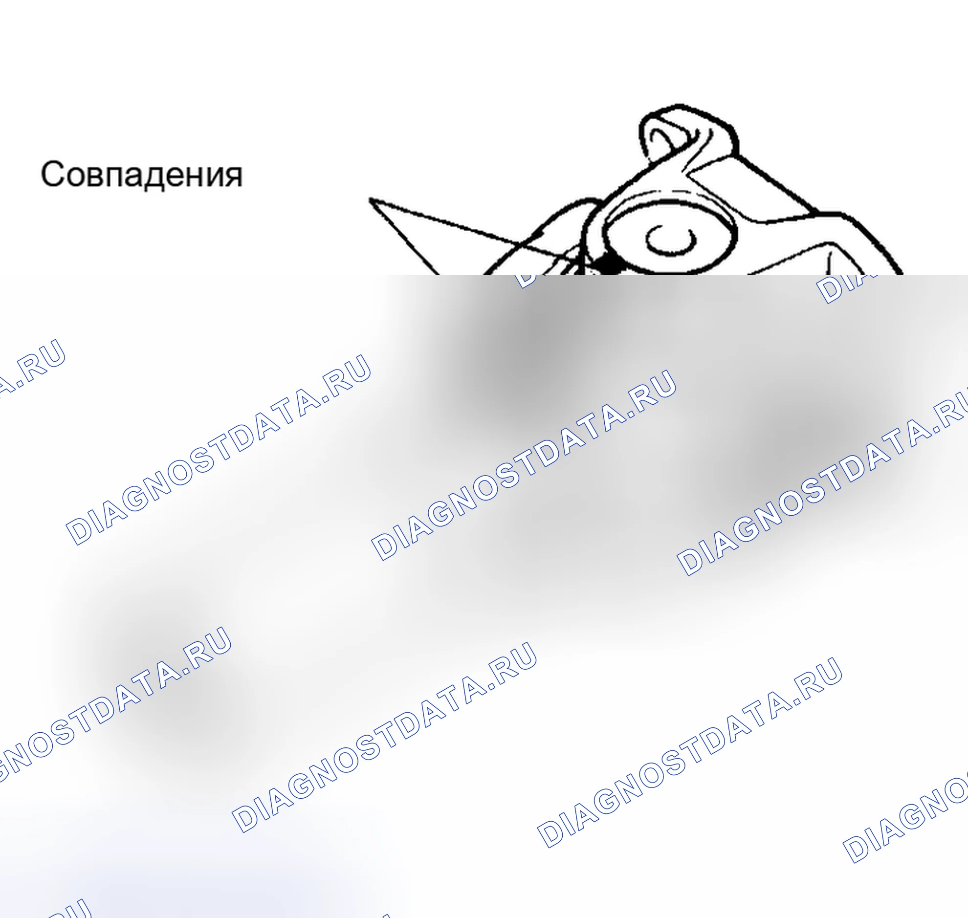 Рис. 11: ЗАМЕНА. Haval Xiaolong Max I