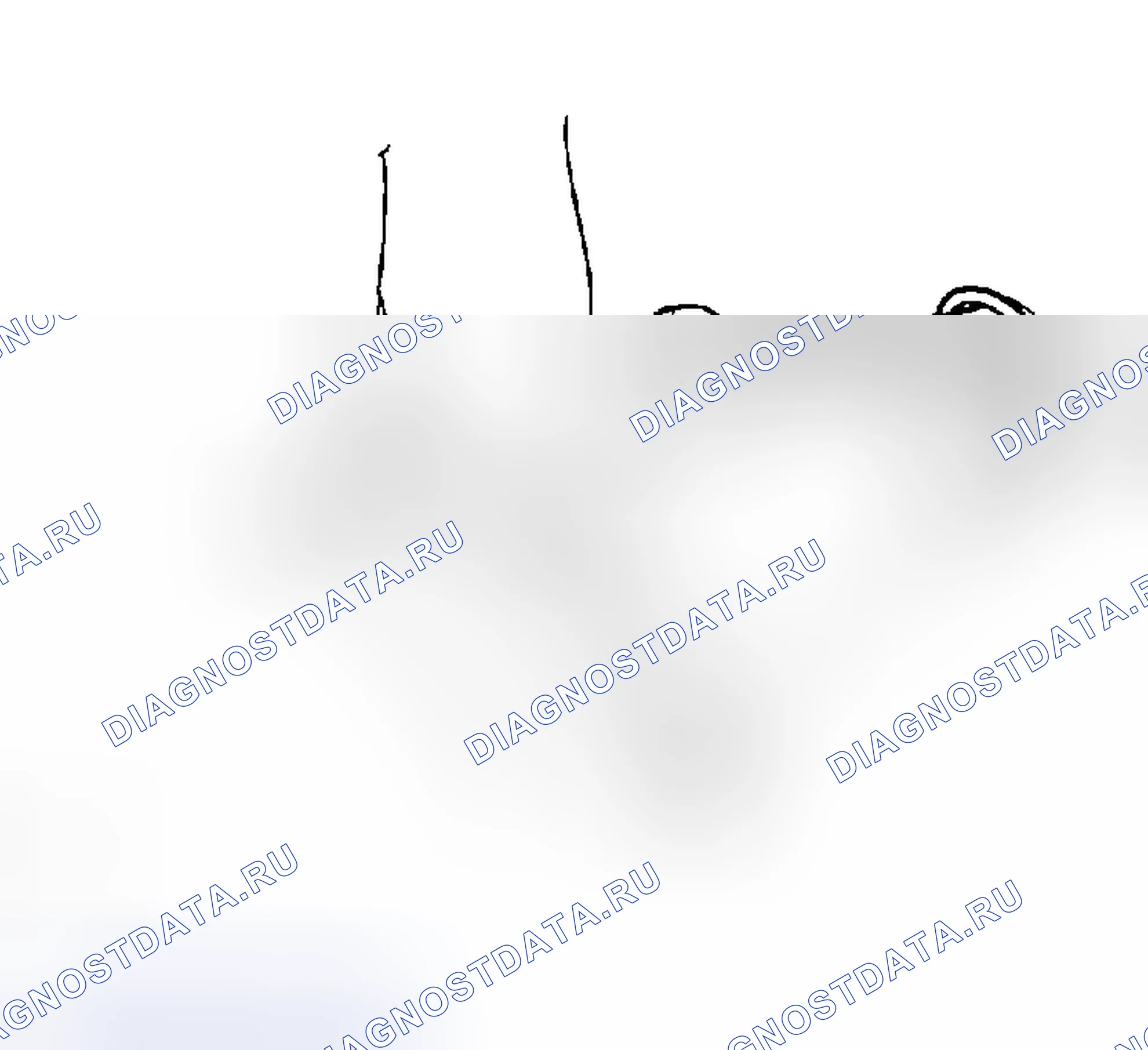 Рис. 64. Haval H5 I