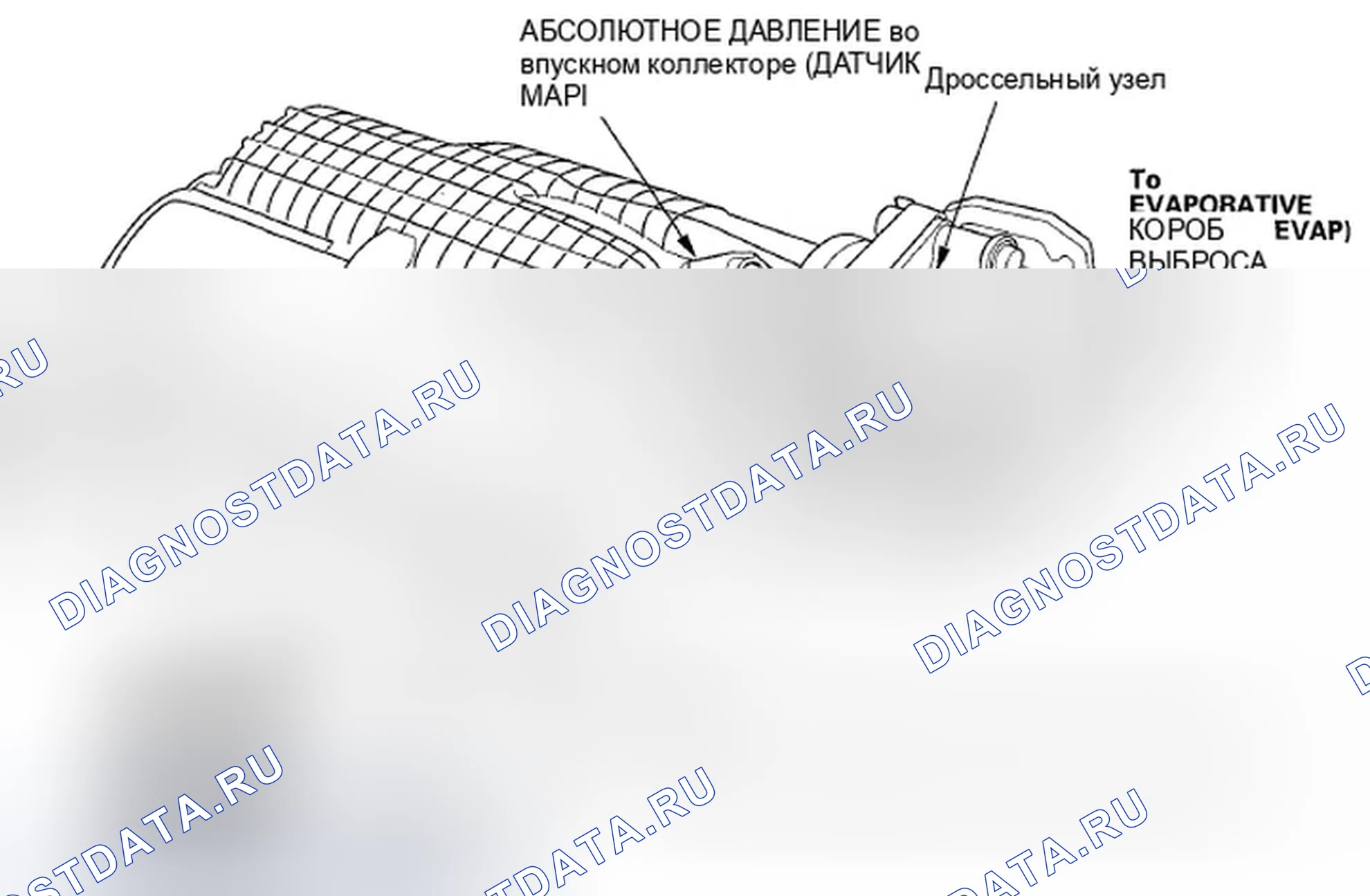 Рис. 8: Трассировка вакуумного шланга. Honda Fit GE