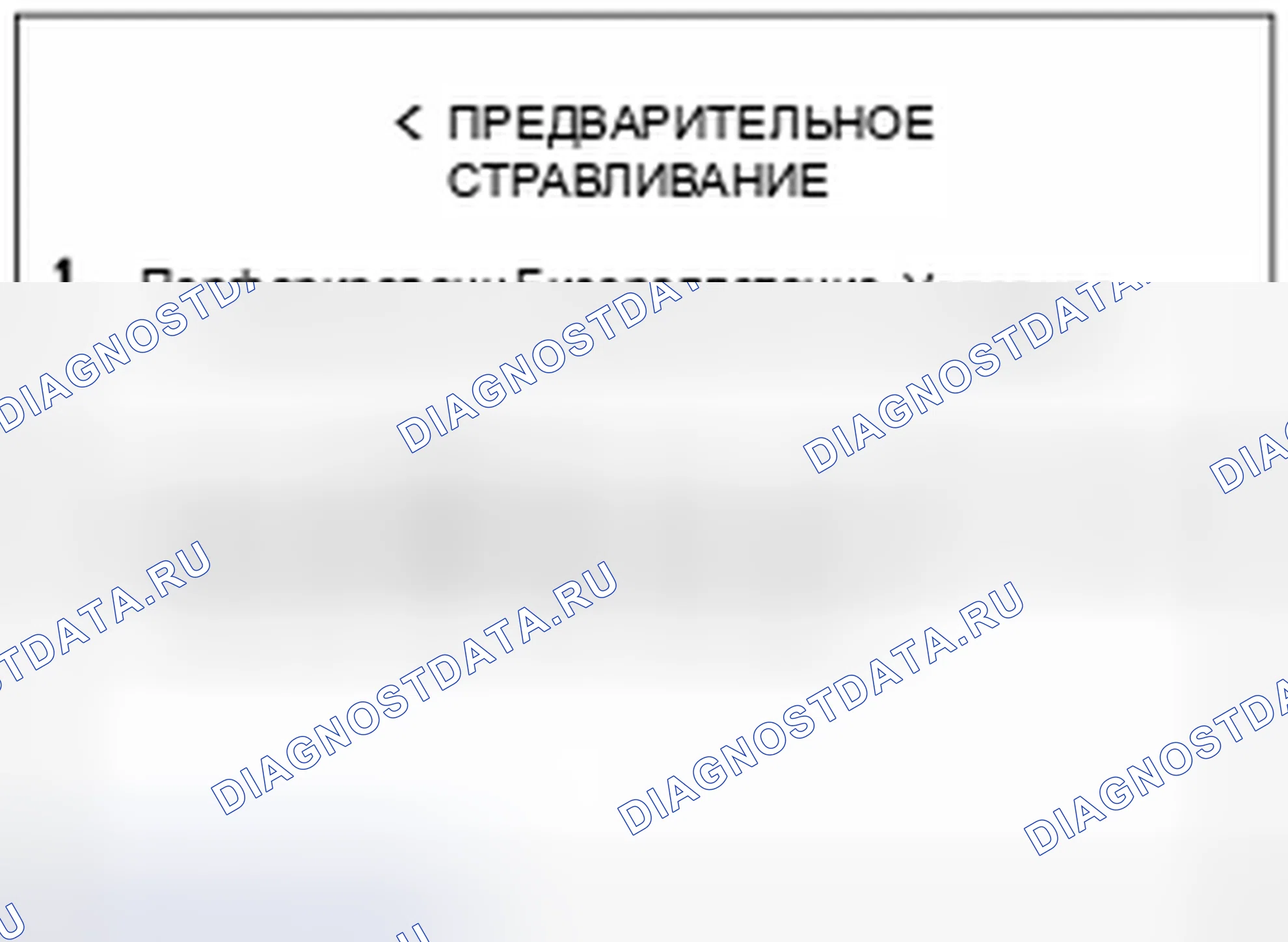 Рис. 147. Haval Chitu I