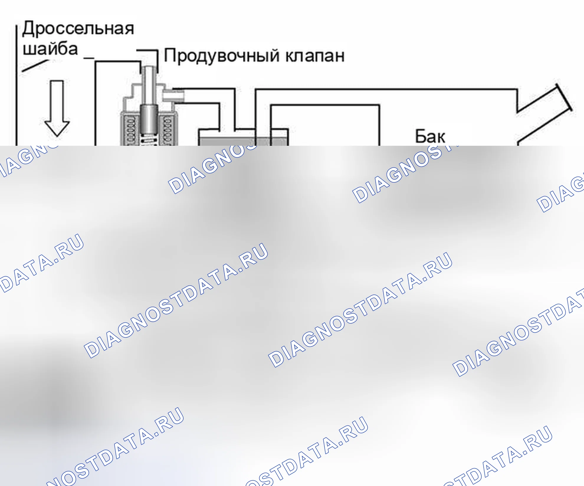 Рис. 50: Фаза 1 - эталонное измерение. BMW M5 E39