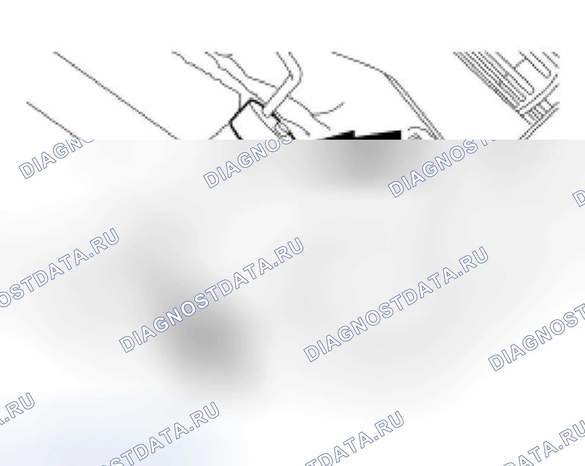 Рис. 502. Ford Focus I рестайлинг