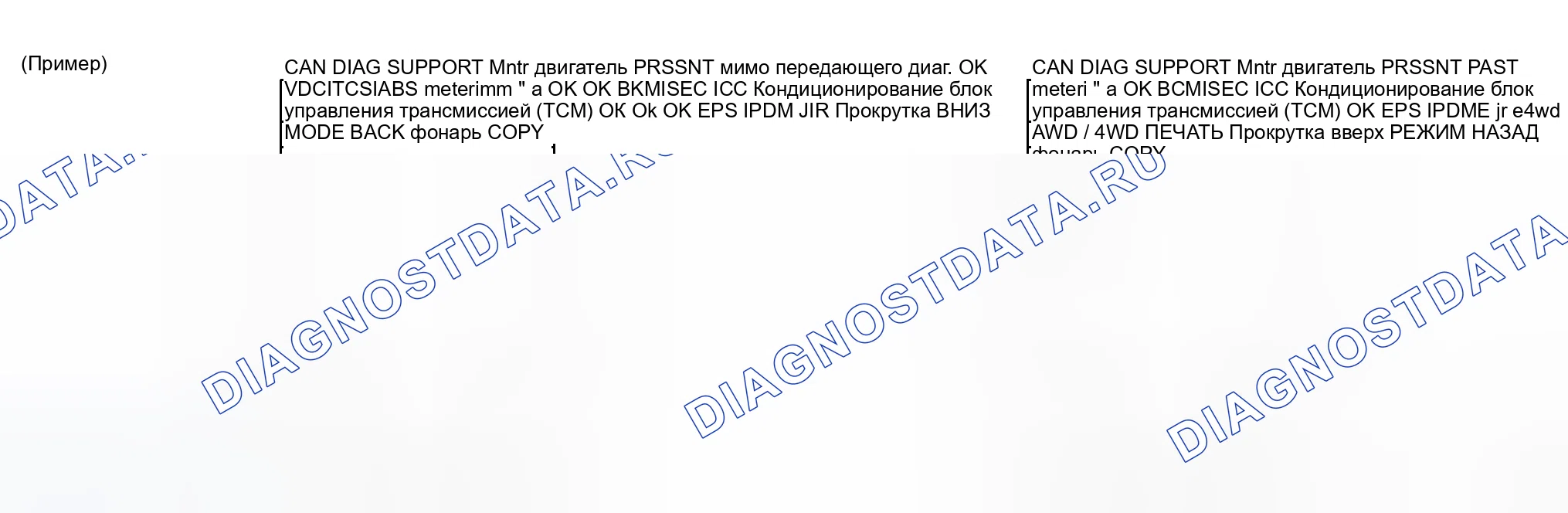 Рис. 14: ОПИСАНИЕ ЭКРАНА " CAN DIAG SUPPORT Mntr " ДЛЯ блок управления двигателем. Honda That S I