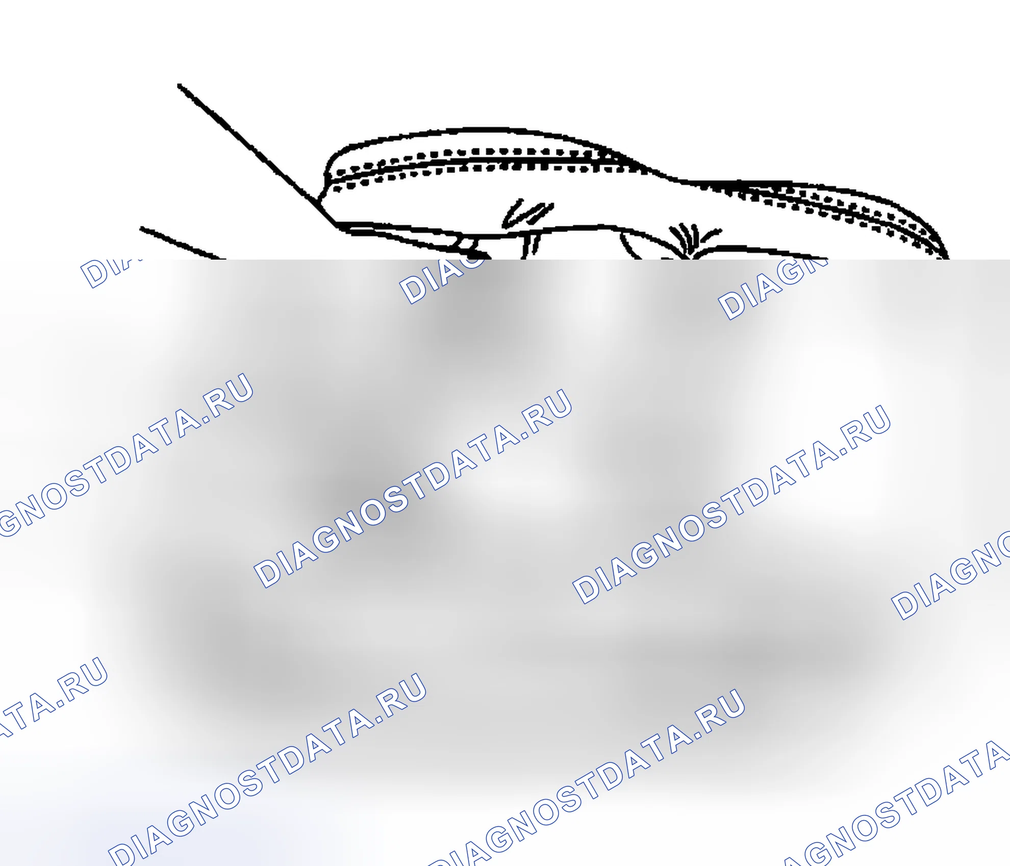Рис. 33. Buick Regal IV