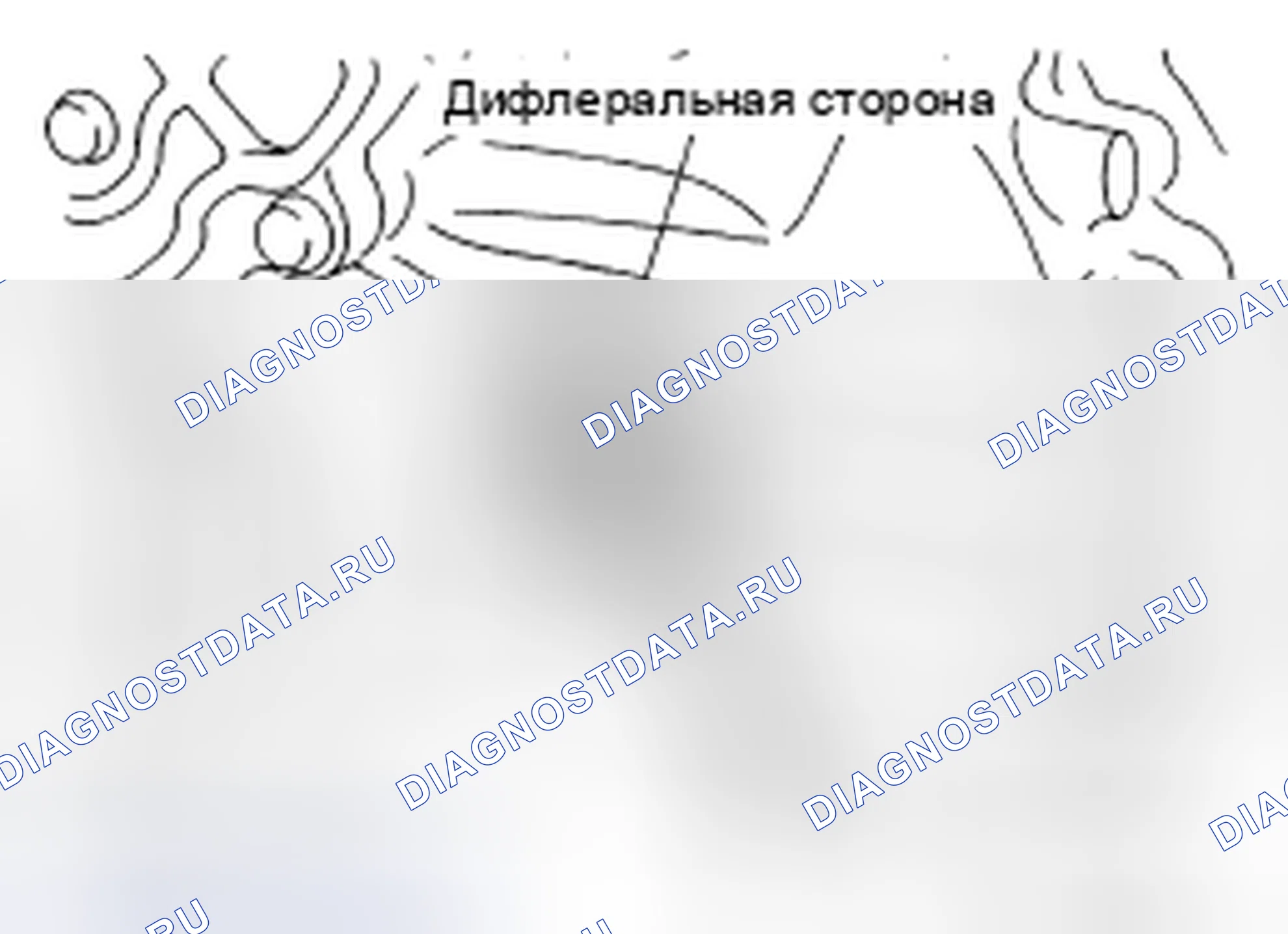 Рис. 136: ДЕМОНТАЖ. Nissan Altima L32 рестайлинг