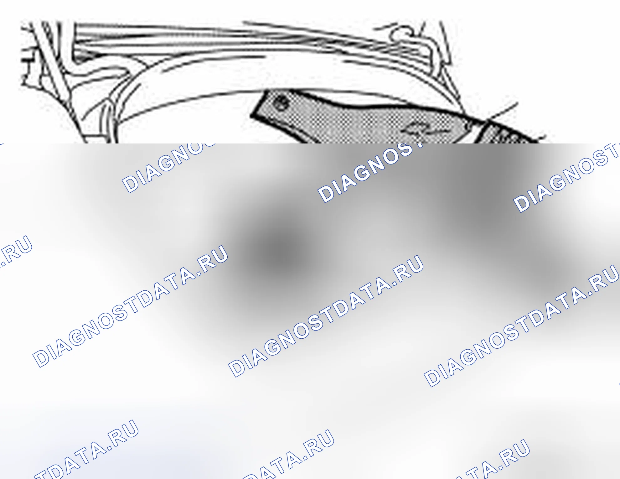 Рис. 407. Nissan Murano Z51 рестайлинг 2