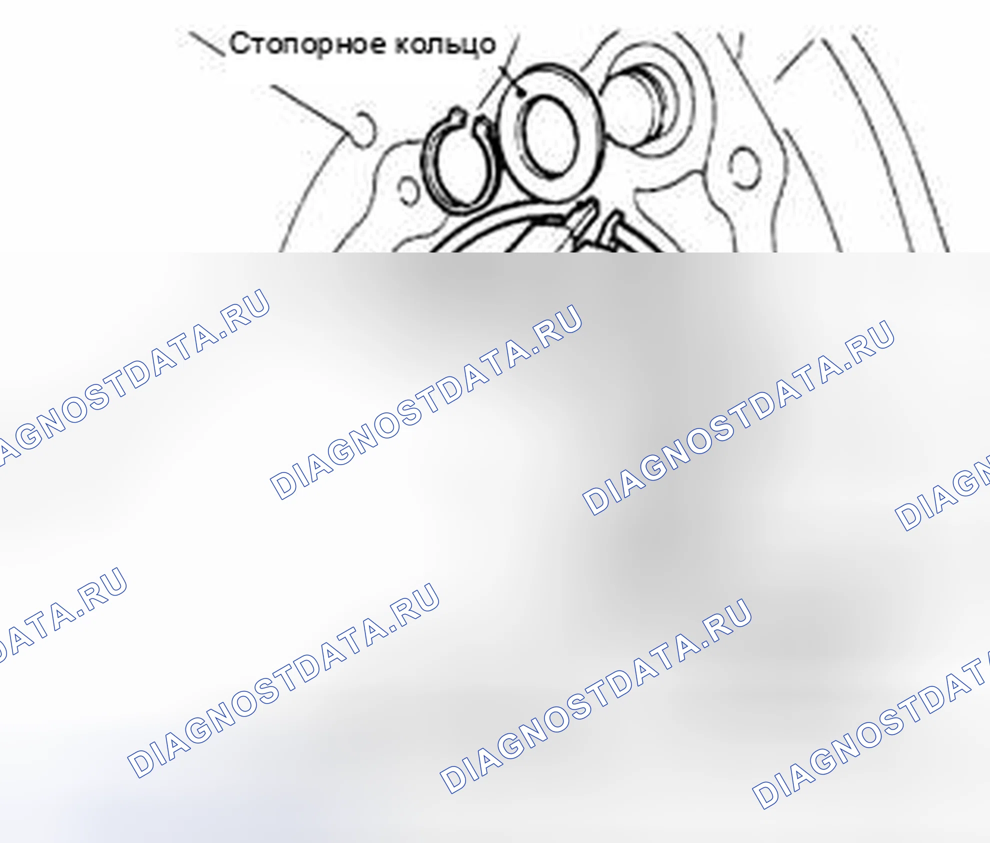 Рис. 227. Suzuki Equator I