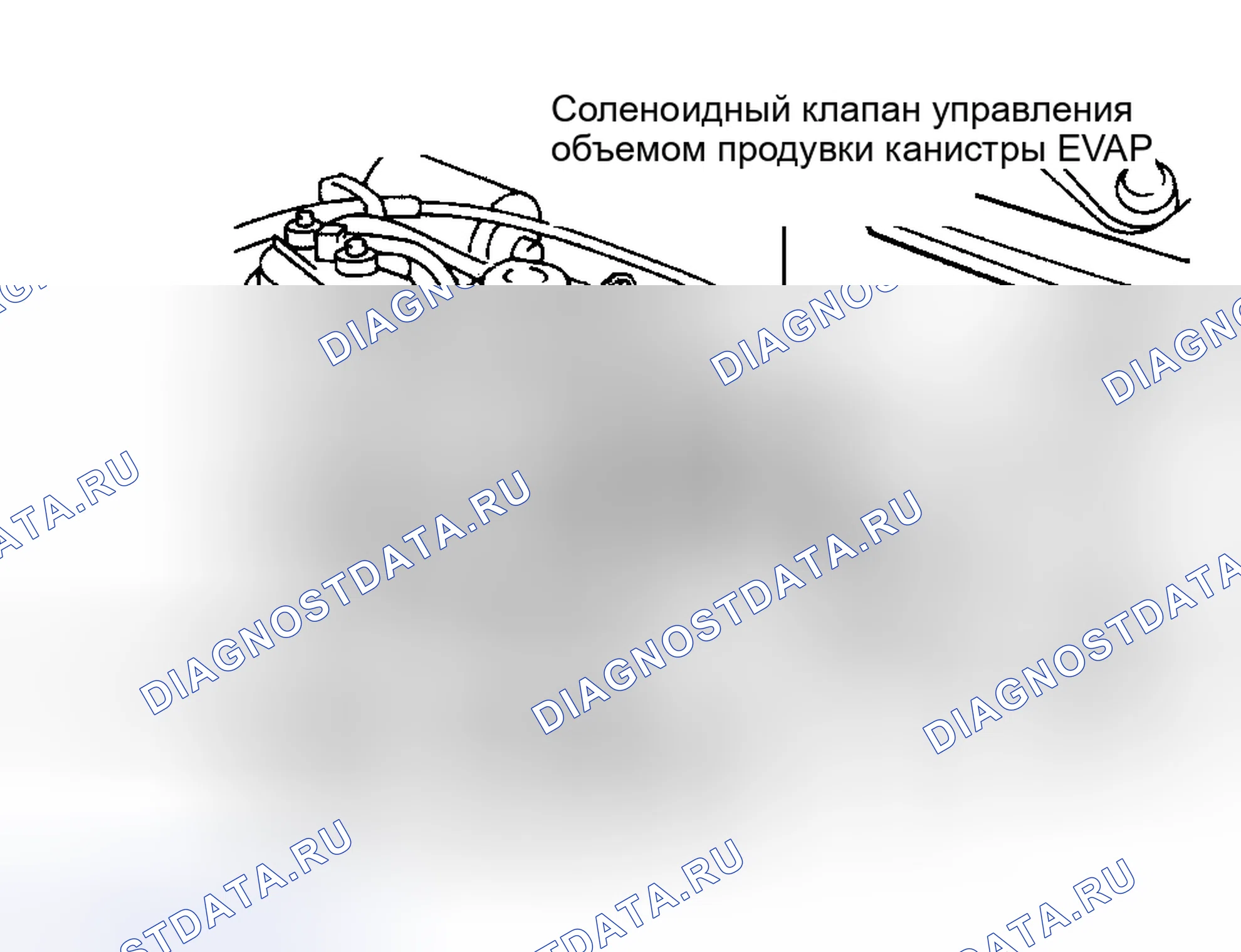 Рис. 24. Nissan Altima L30