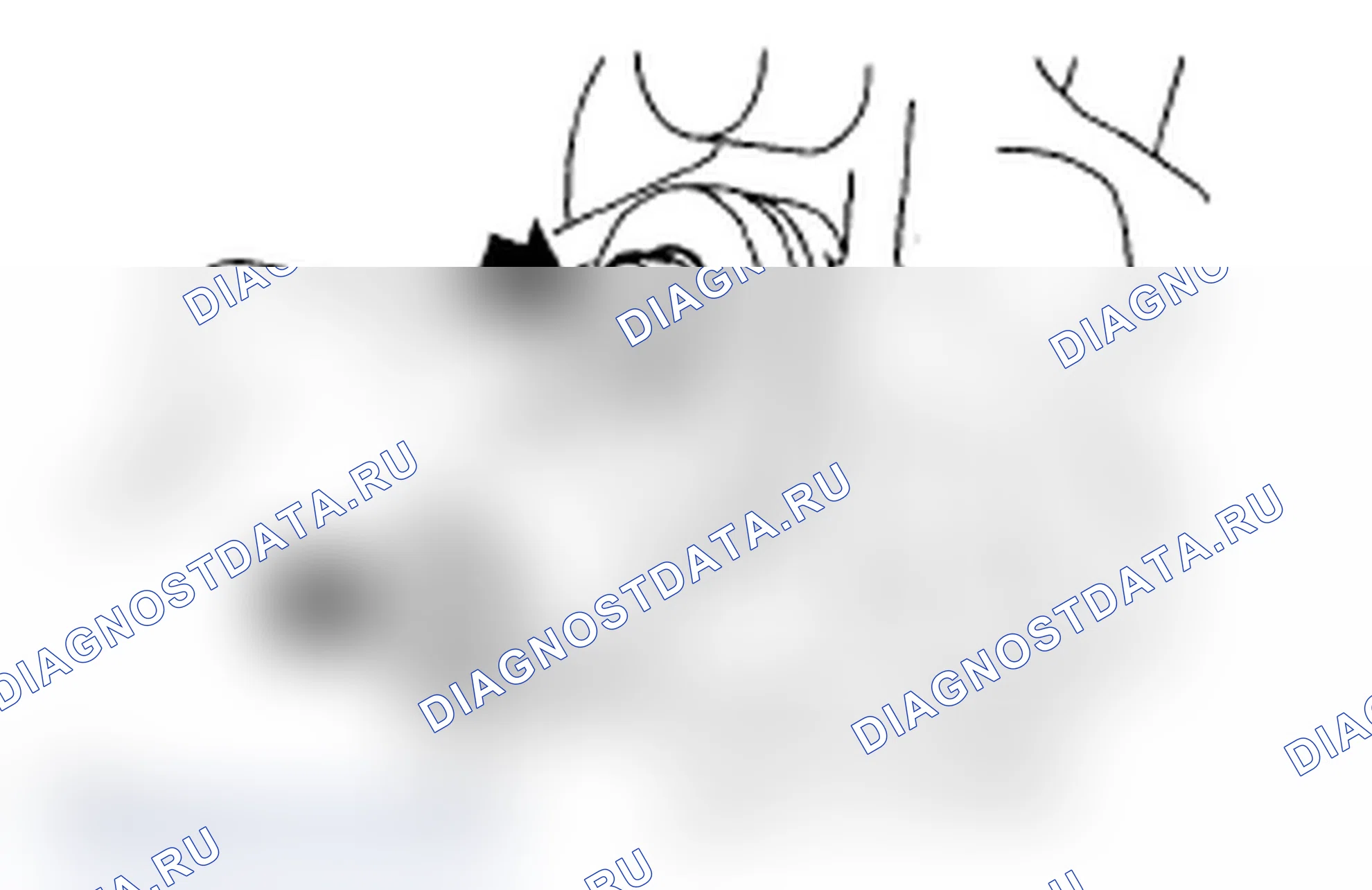 Рис. 16. Subaru Impreza WRX GD/GG рестайлинг 2