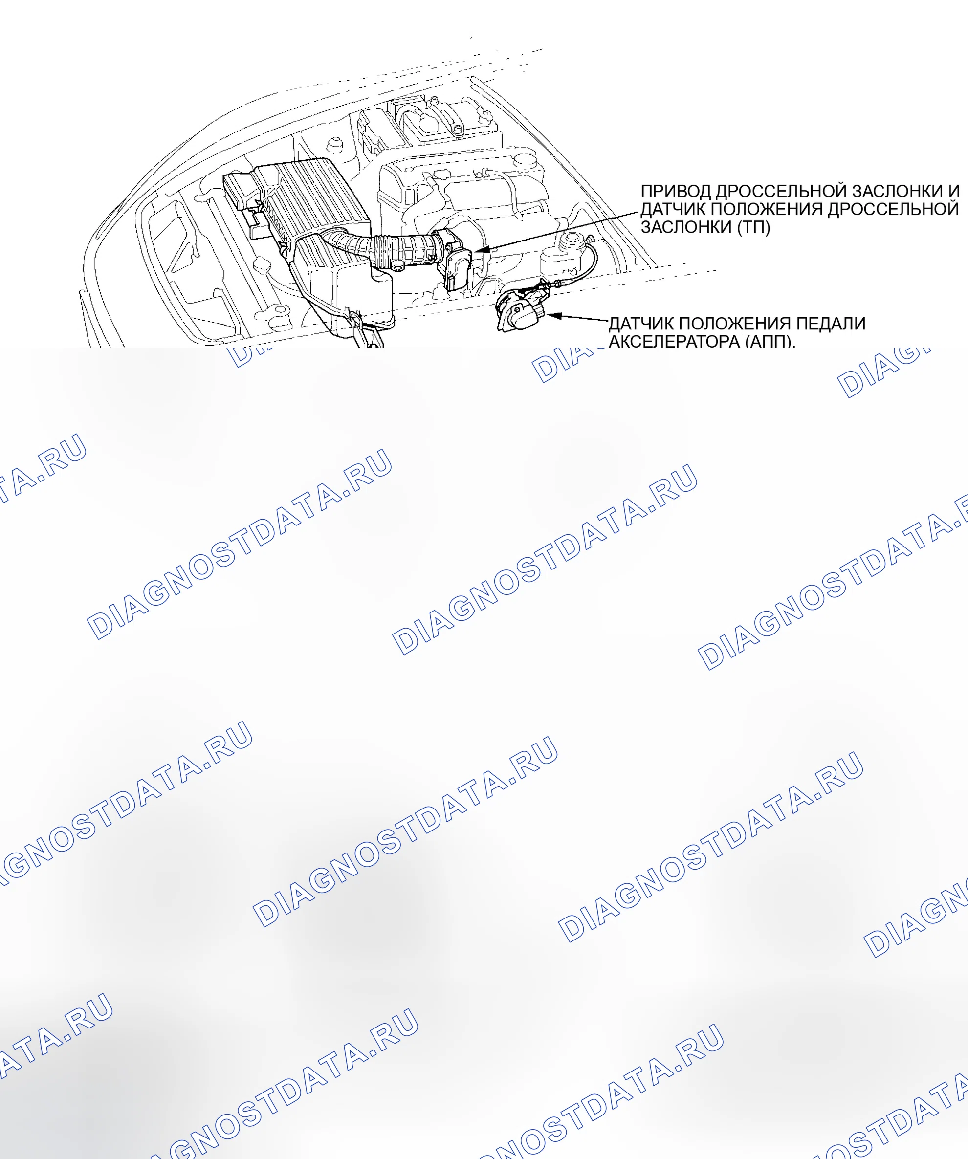 Рис. 51: Указатель расположения компонентов. Honda S2000 AP2 рестайлинг
