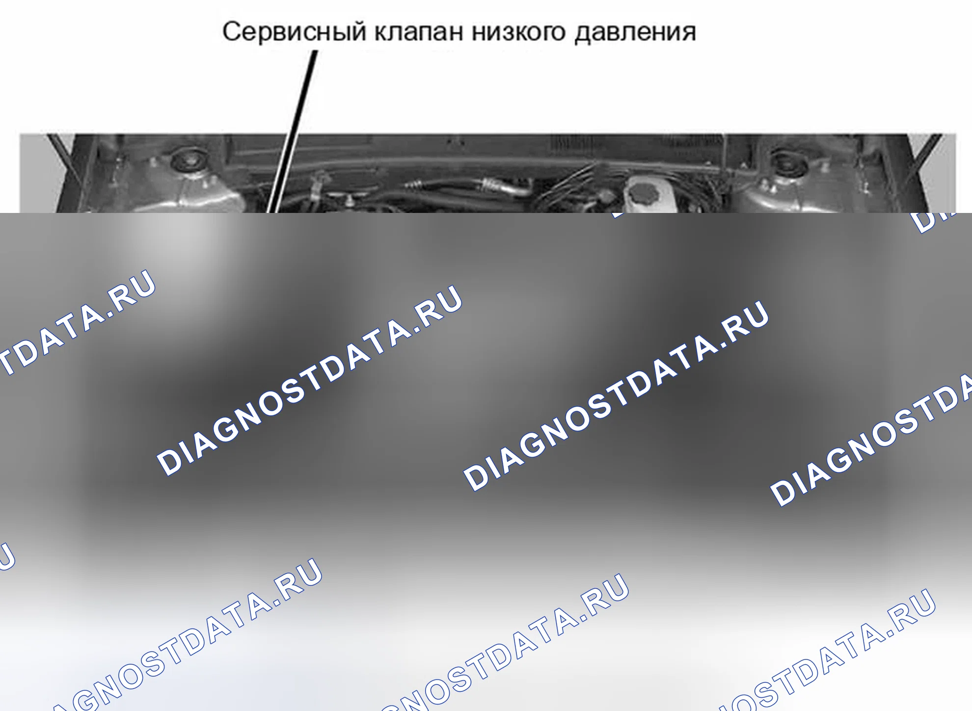 Рис. 27. Ford Escape I