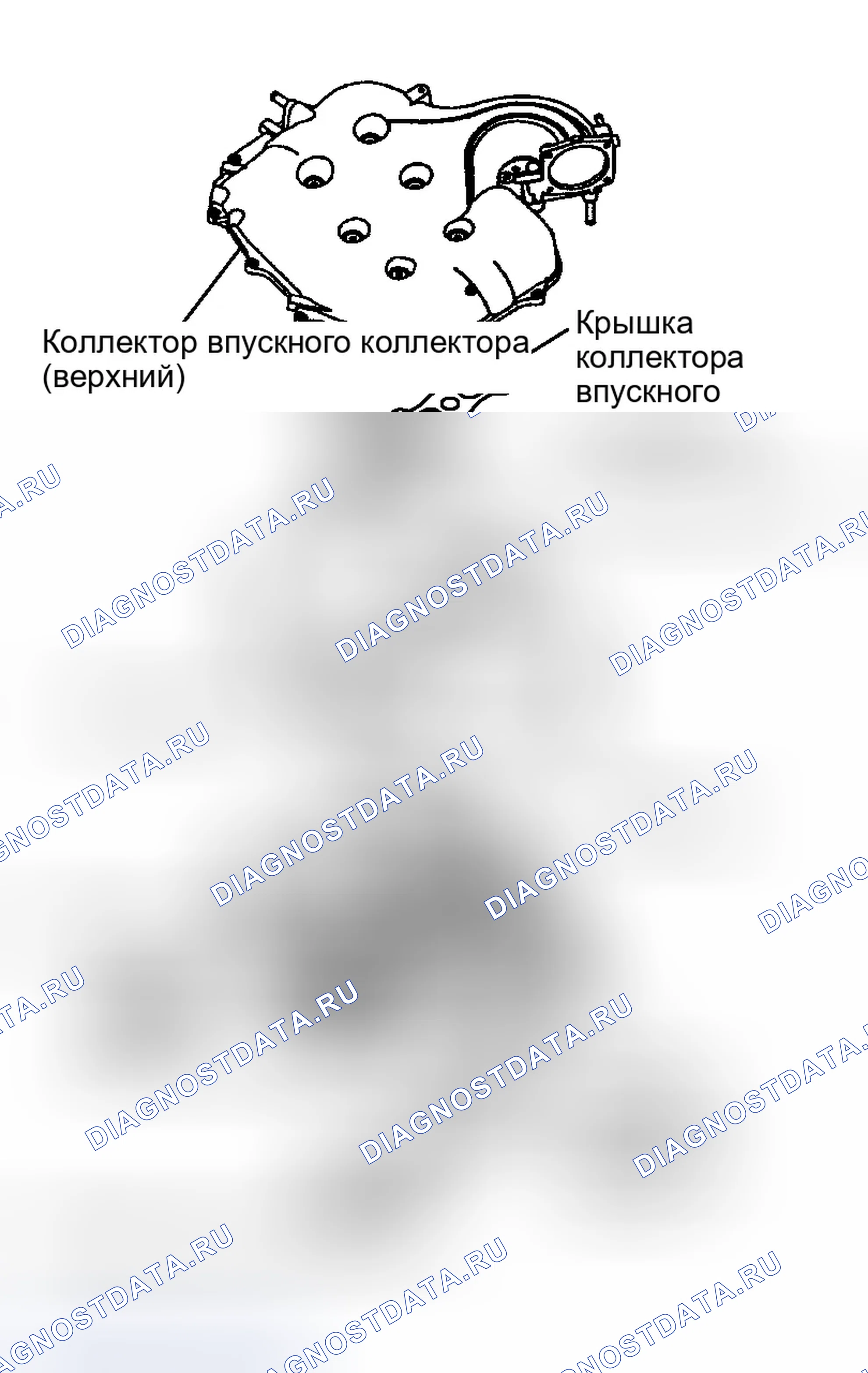 Рис. 883: Указание направления установки компонента. Infiniti G35 III
