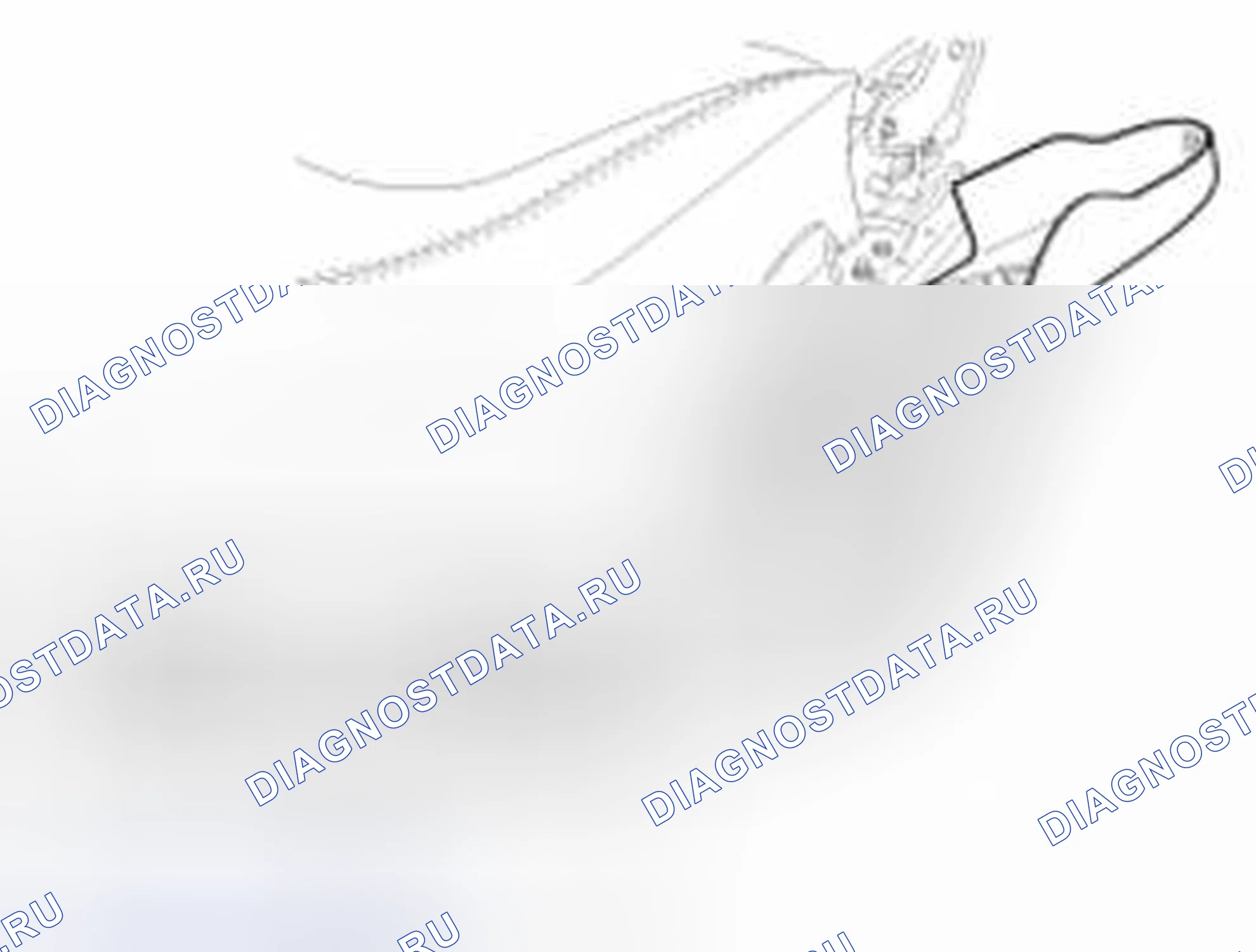 Рис. 66. Haval Beast (Shenshou) I