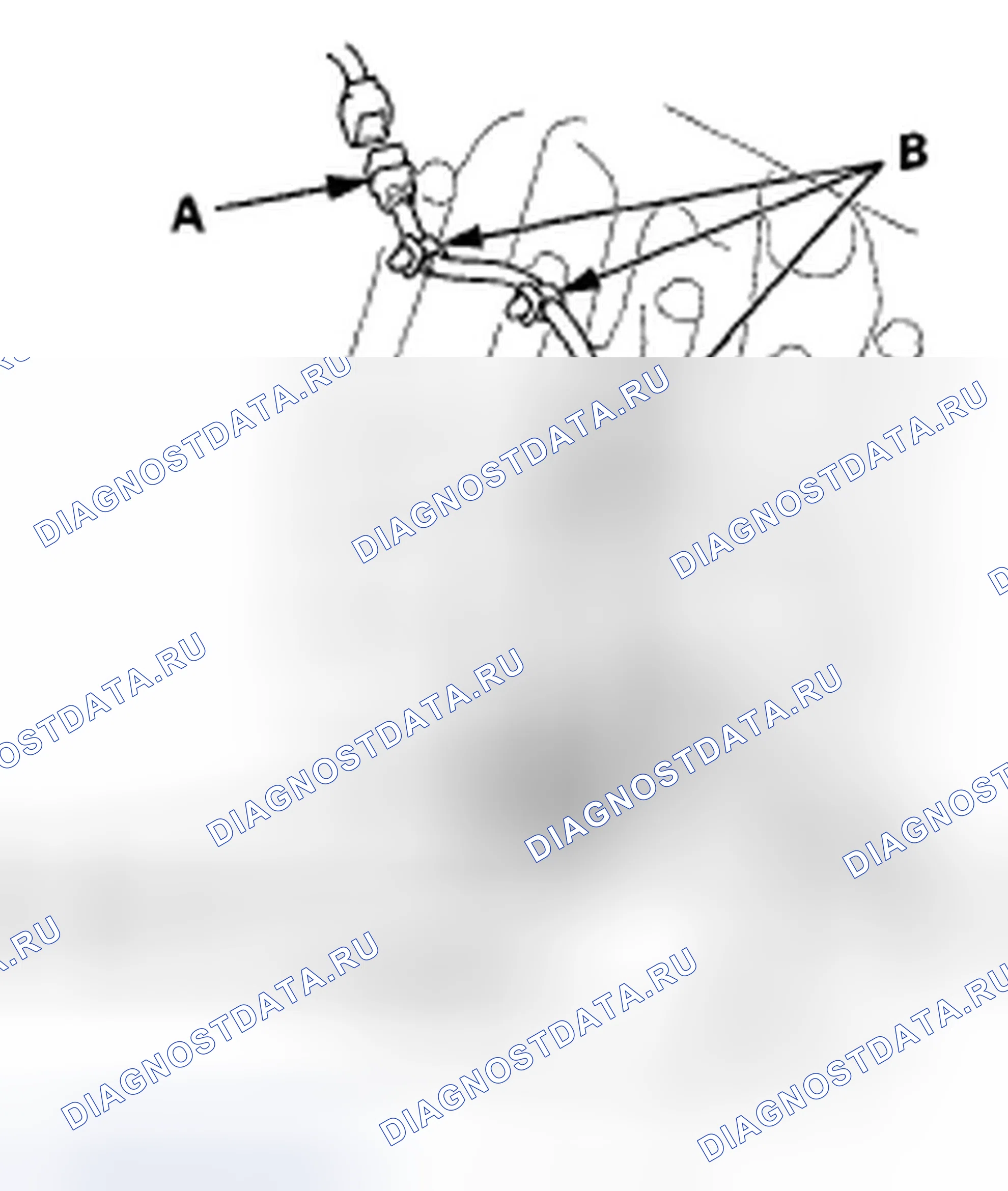 Рис. 250: Задний банк (Банк 1). Honda Accord VIII