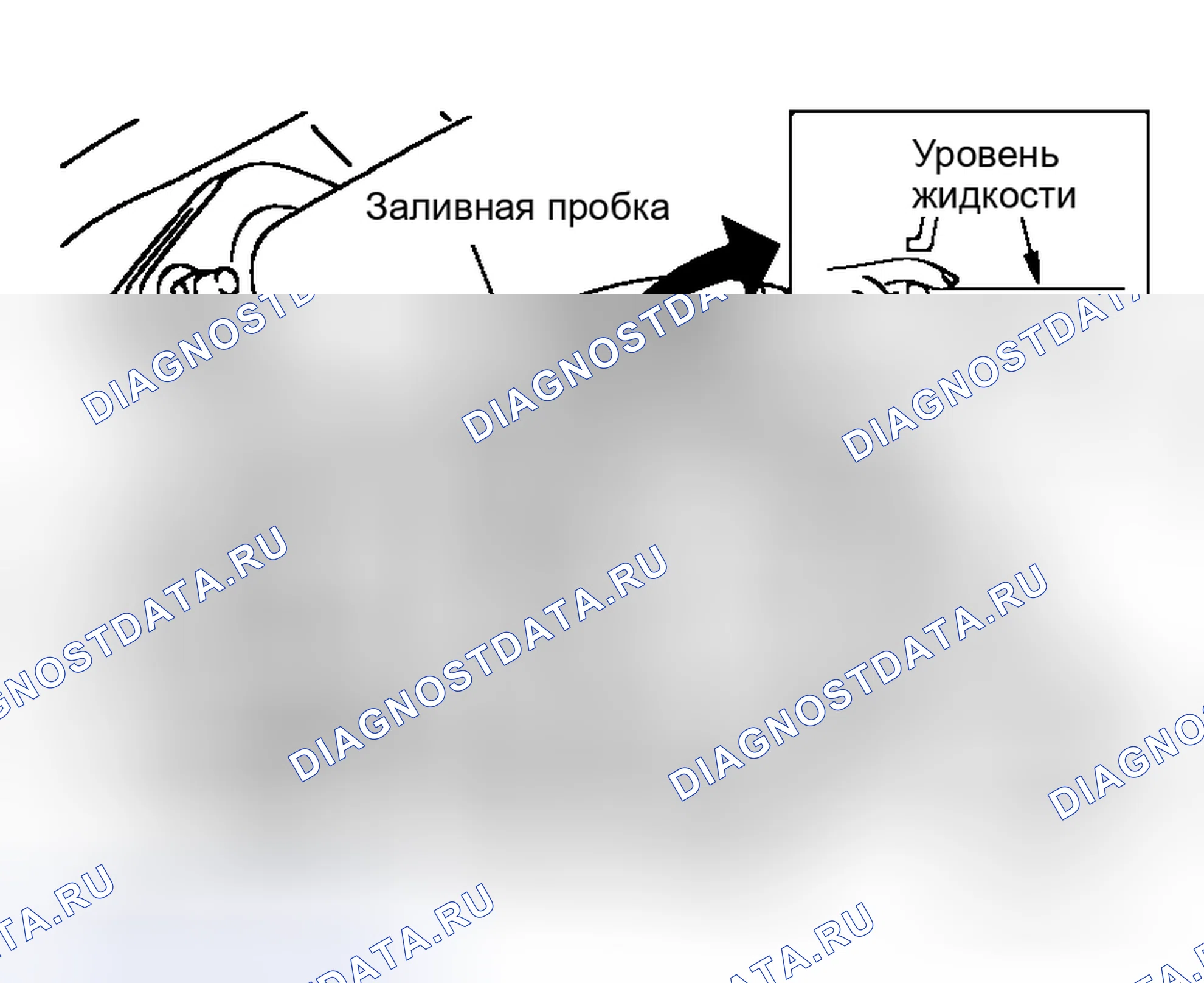 Рис. 8: УТЕЧКА И УРОВЕНЬ ЖИДКОСТИ. Honda Lagreat I