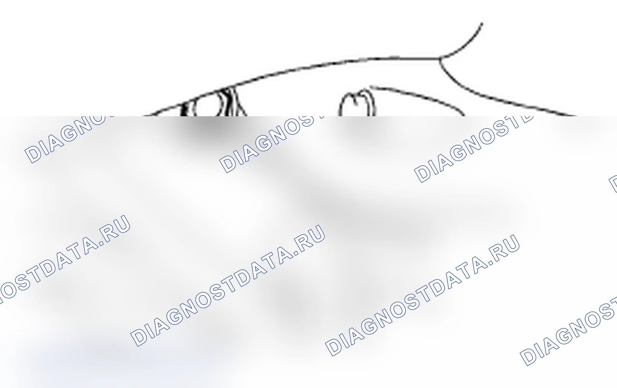 Рис. 95. Subaru Impreza WRX GH
