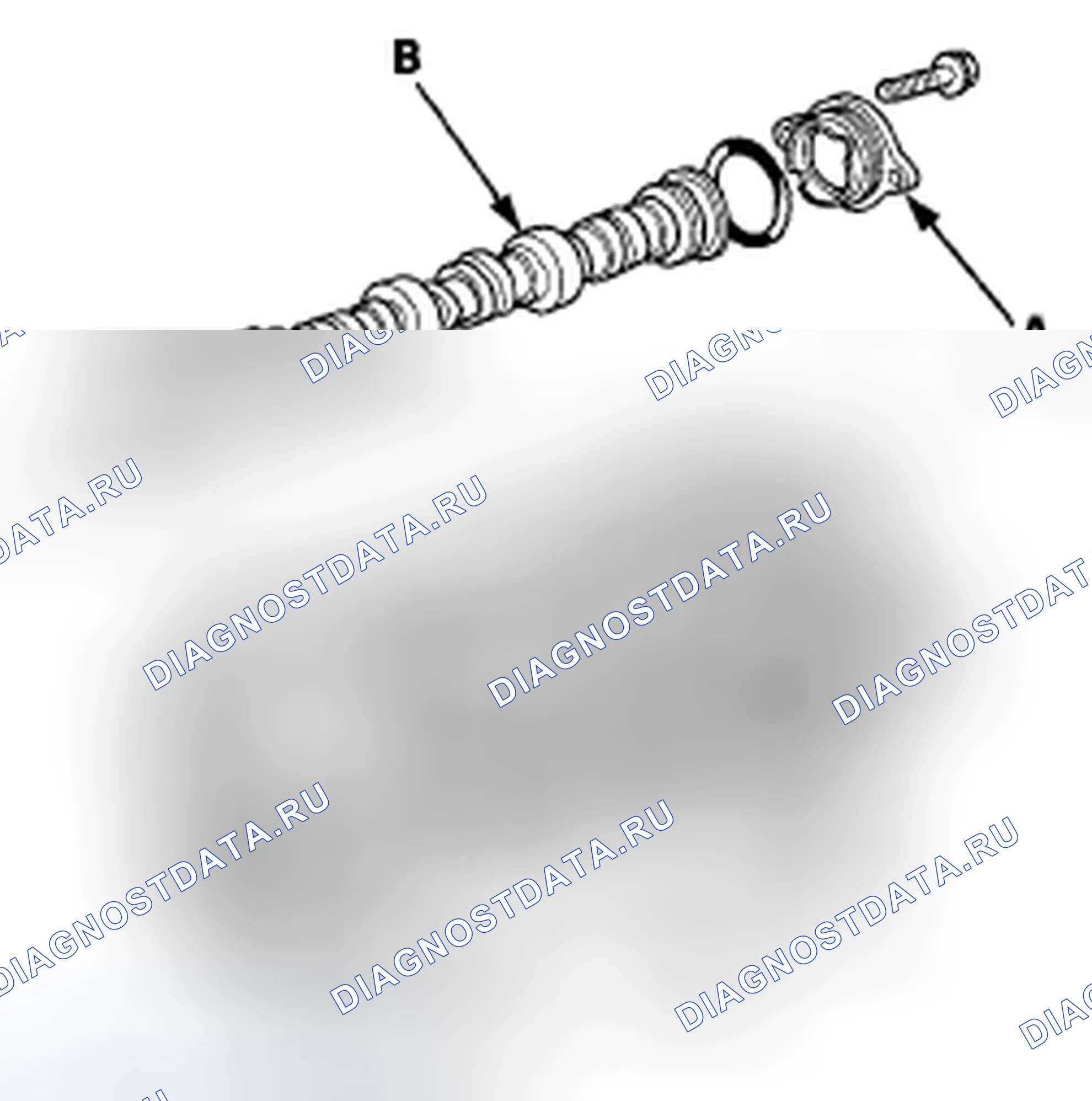 Рис. 354. Honda Accord VIII рестайлинг