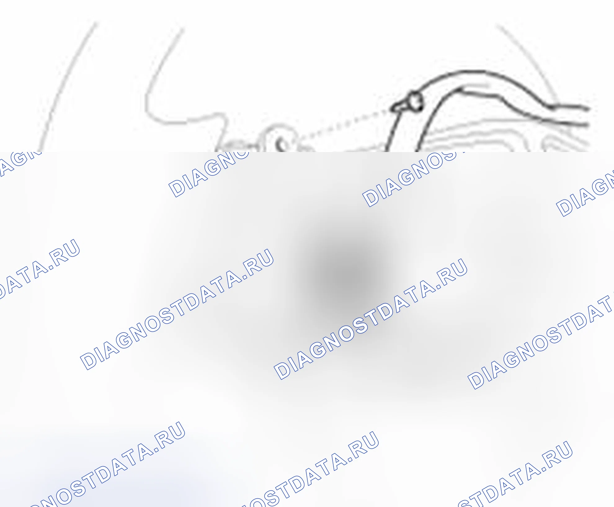 Рис. 4. Geely SC7 I