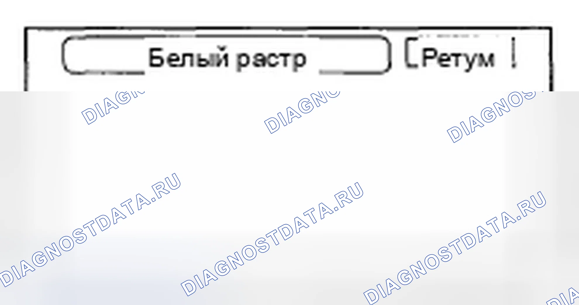 Рис. 136: Белый растр. Honda Accord VII рестайлинг