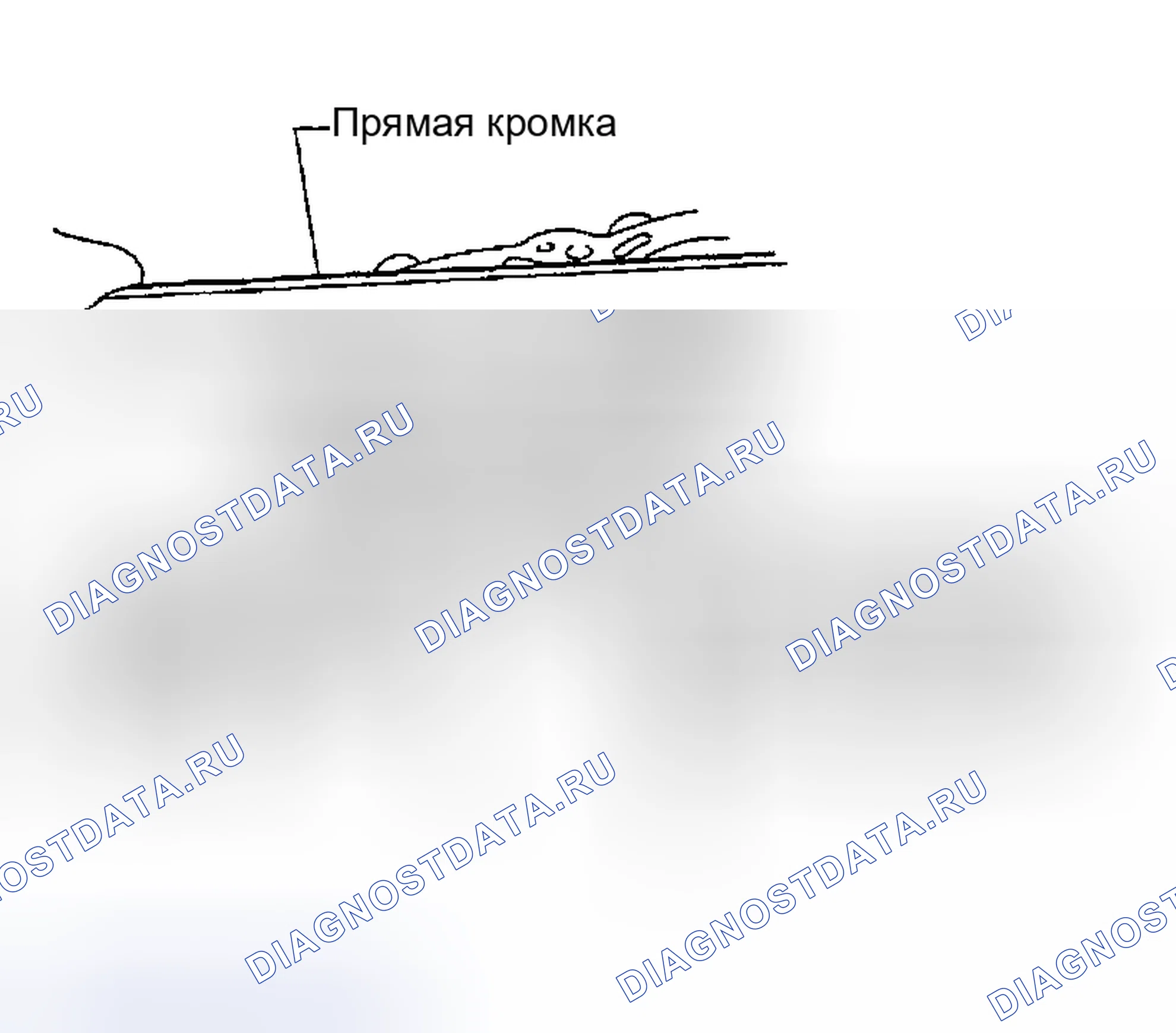 Рис. 230: ДЕФОРМАЦИЯ И ИЗНОС БЛОКА ЦИЛИНДРОВ. Infiniti I35 II