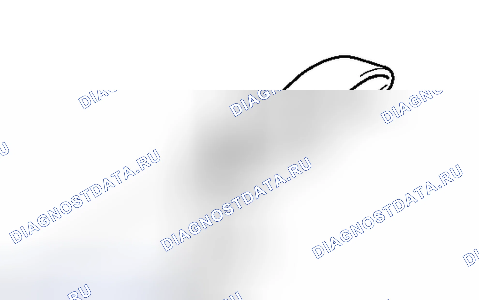 Рис. 200. Toyota Tacoma II рестайлинг