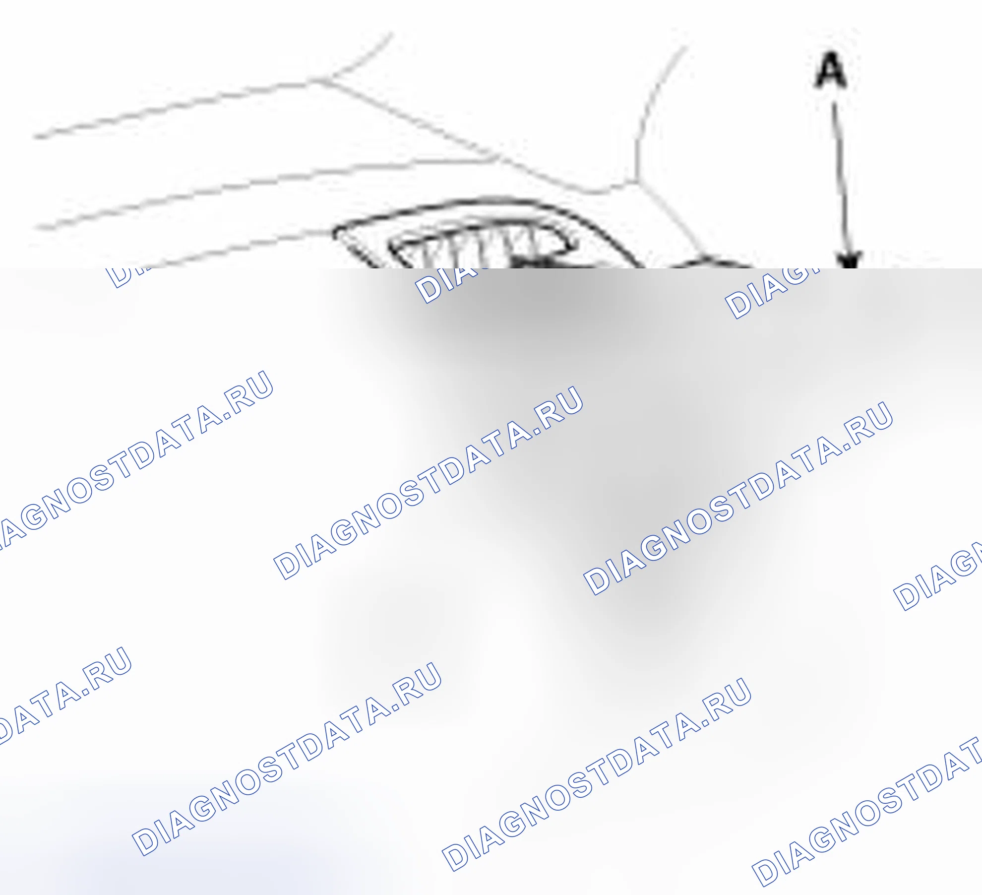 Рис. 41. Kia Forte I