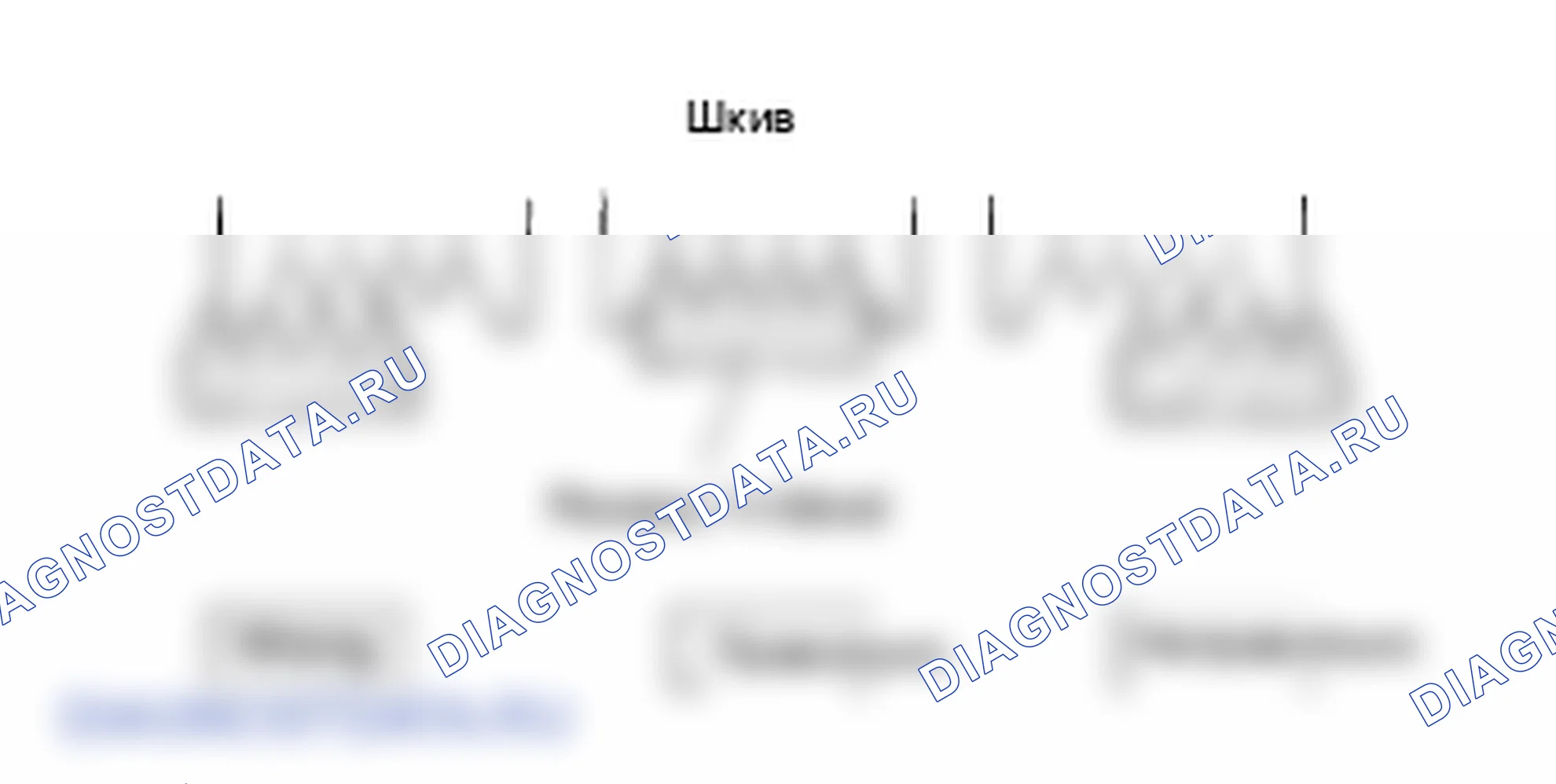 Общая информация. Hyundai Atos MX
