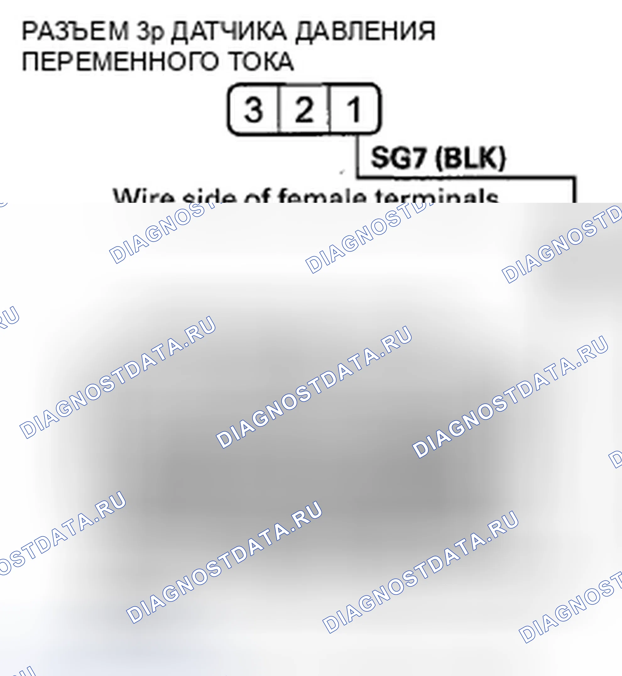Рис. 315. Honda Crosstour I