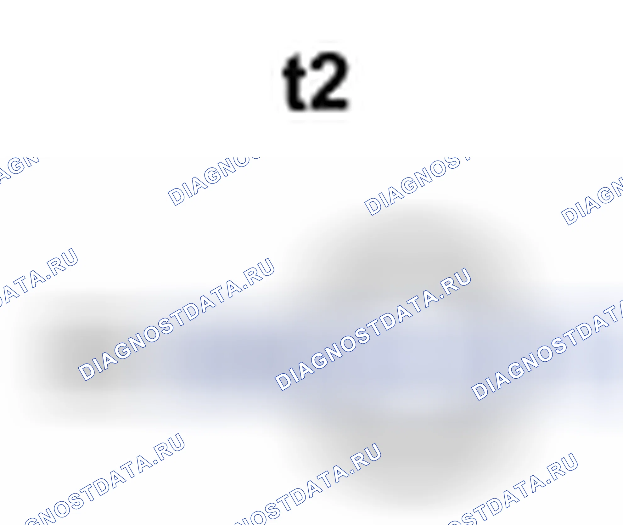 Рис. 655: Вид разъема с торца (t2). Toyota Camry XV40