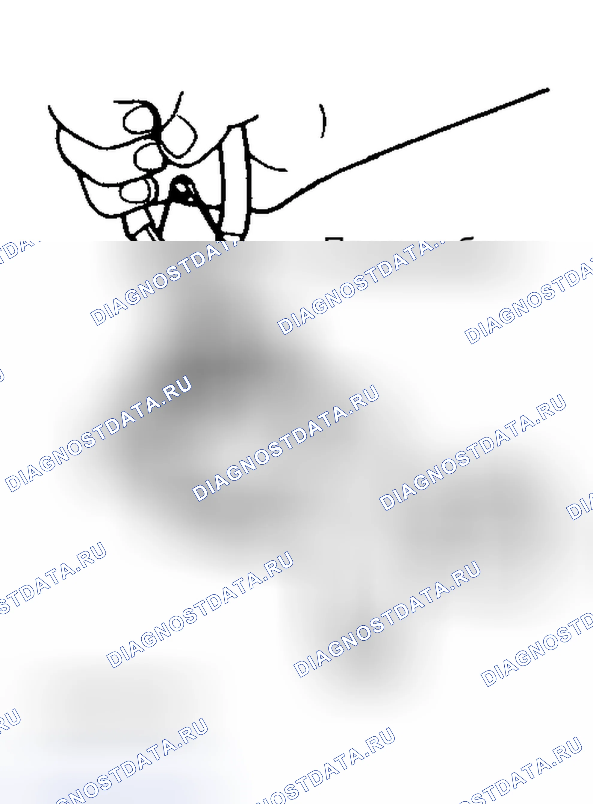 Рис. 15. Subaru Legacy BD/BG/BK