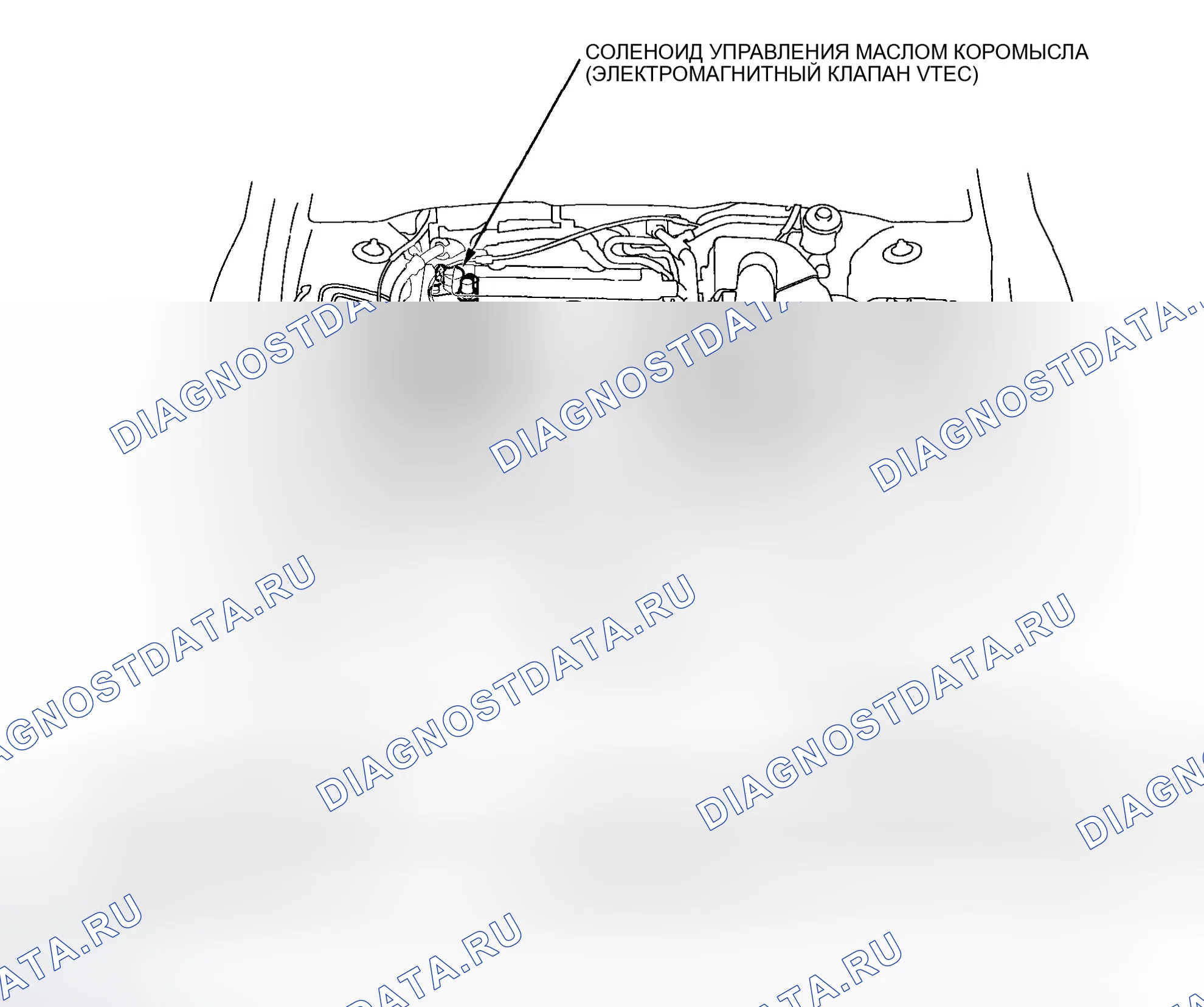 Рис. 303: Указатель расположения компонентов. Acura RSX I
