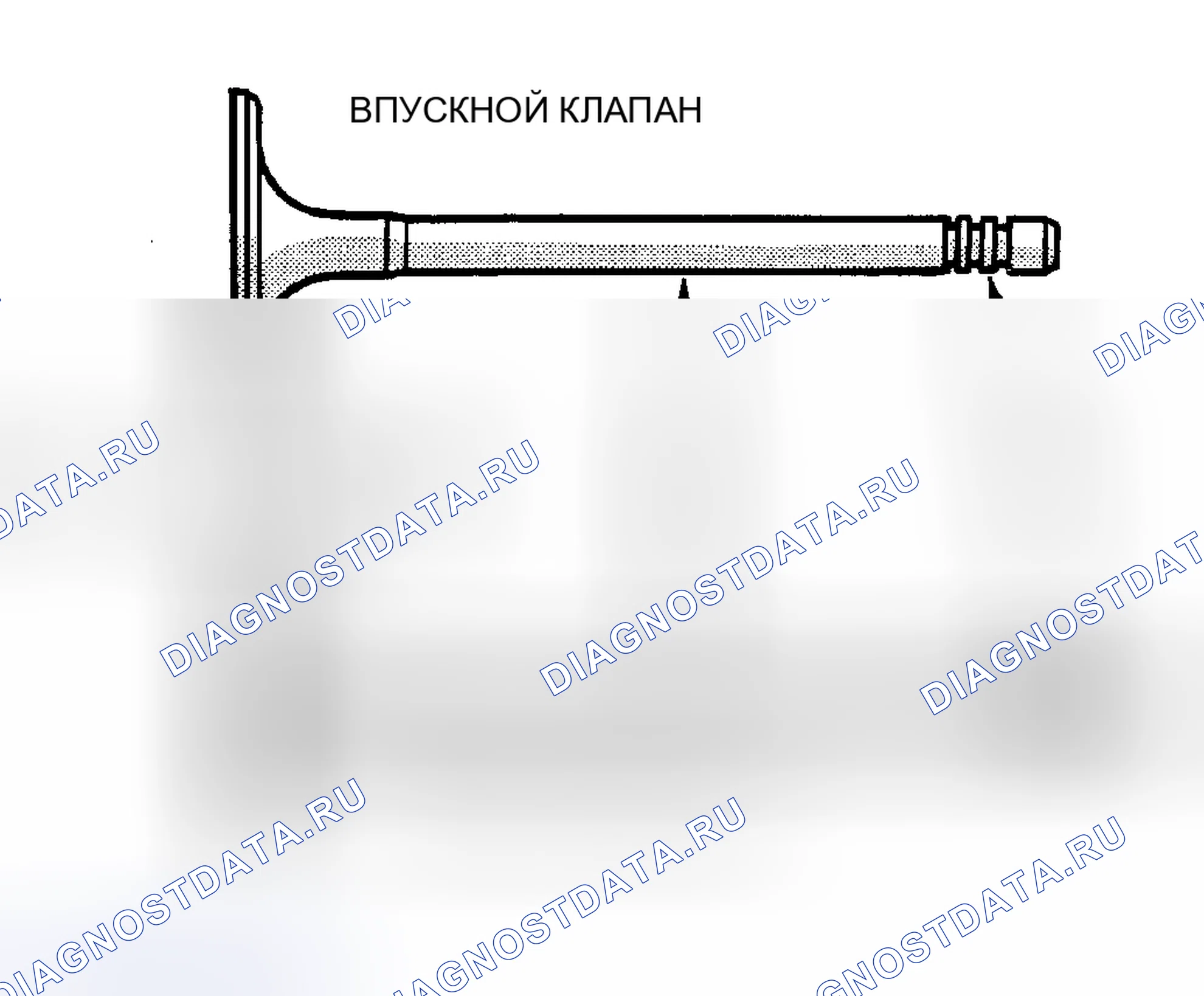 Рис. 686: КЛАПАНЫ. Chrysler Sebring III
