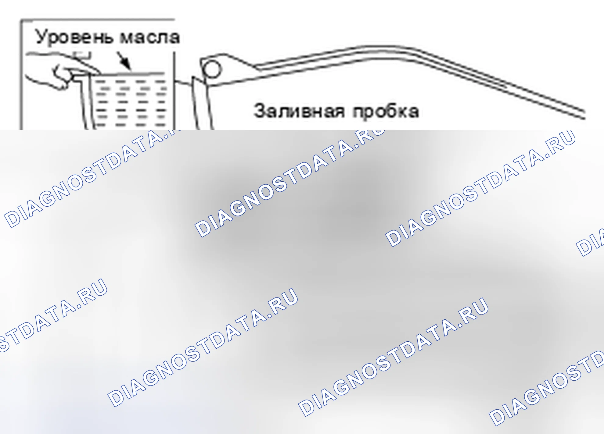 Рис. 61: ЗАПОЛНЕНИЕ. Nissan X-Trail I