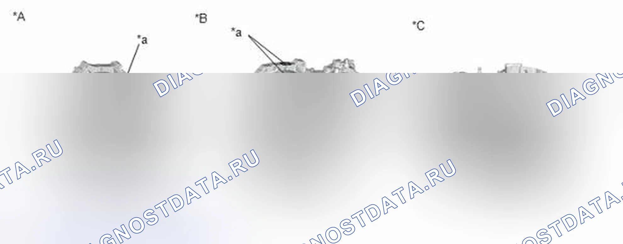 Рис. 4. Toyota Corolla XI