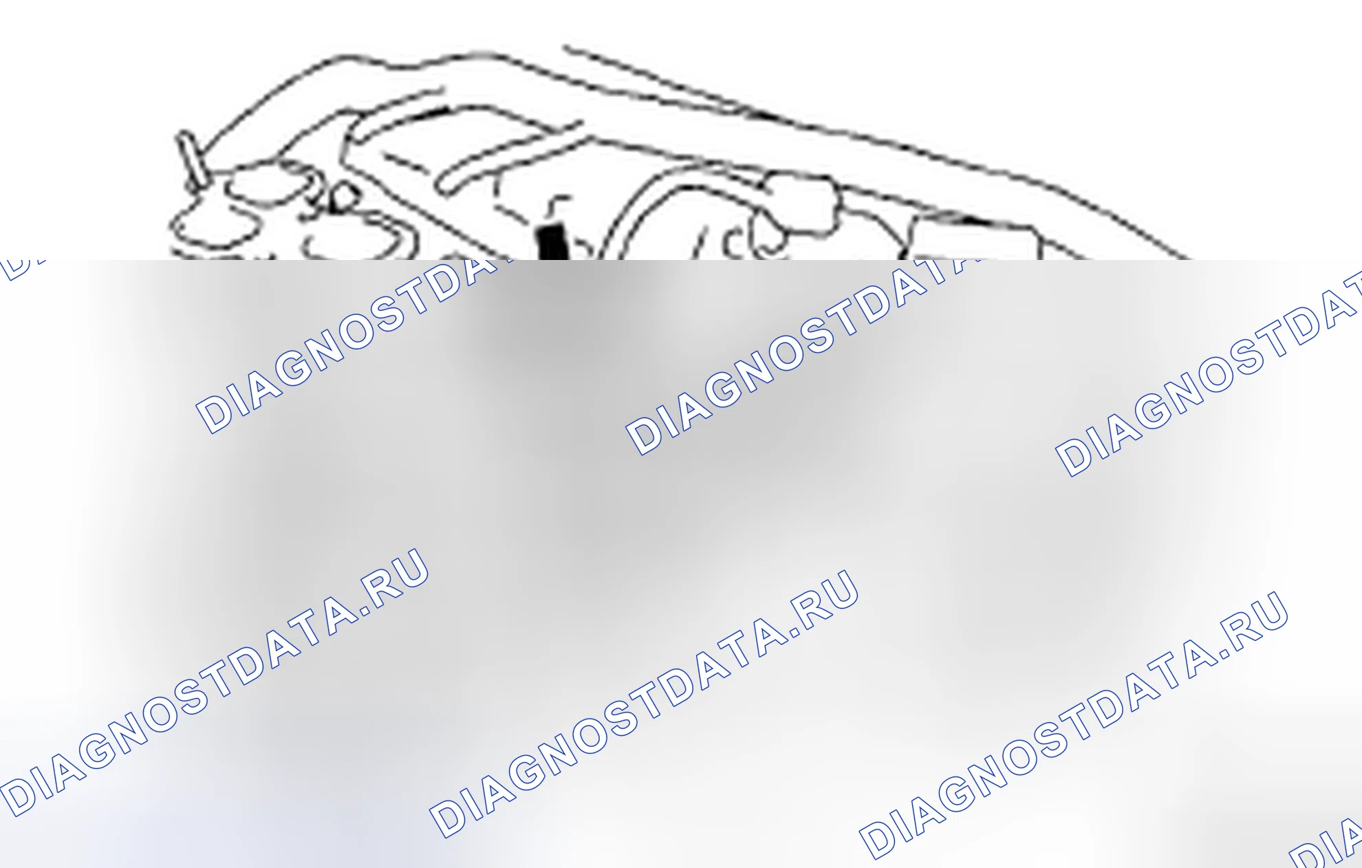 Рис. 84. Toyota Sienna II рестайлинг