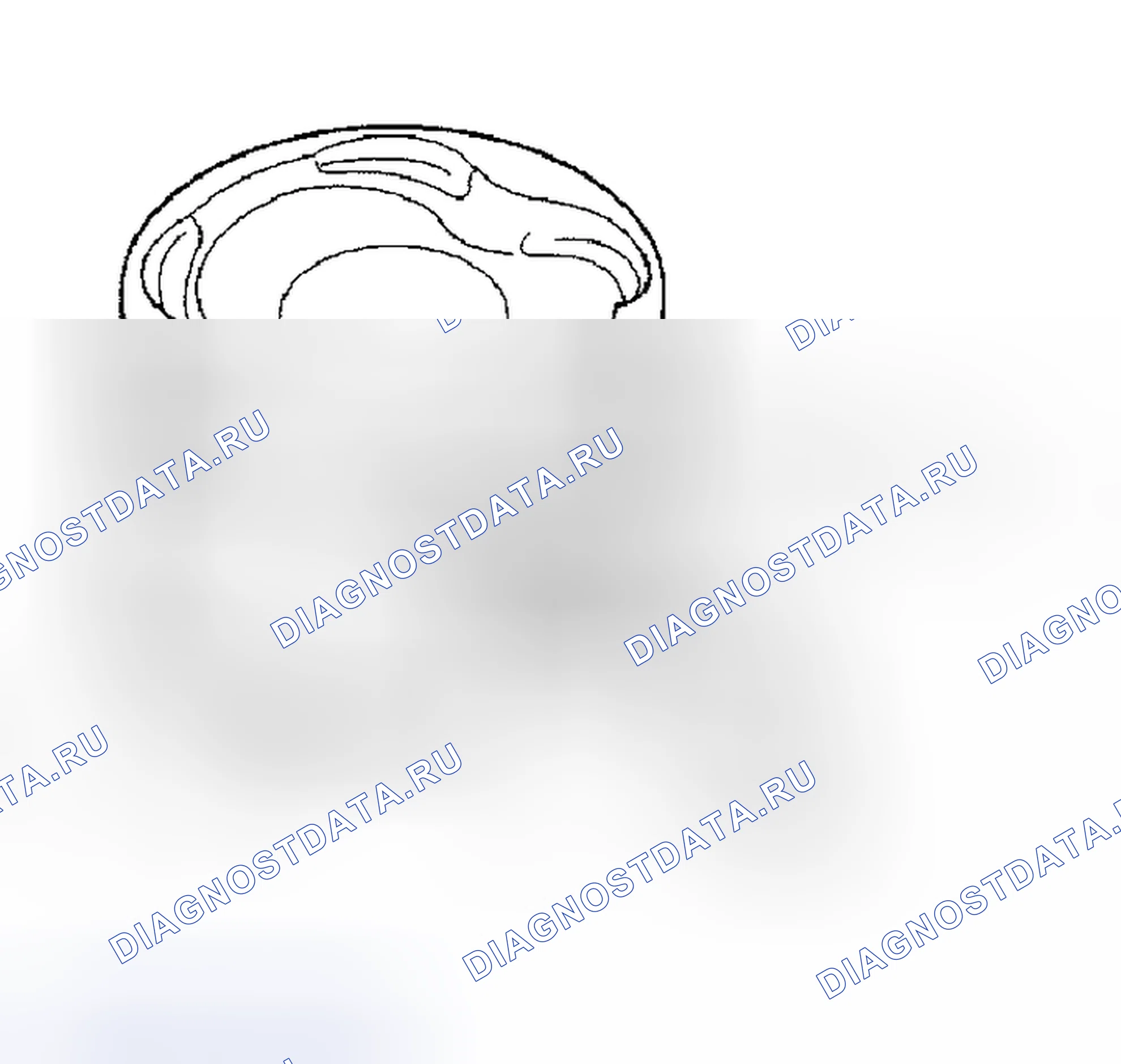 Рис. 270. Haval Xiaolong Max I