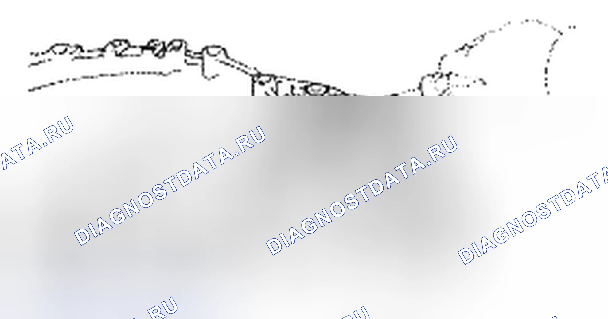 Рис. 406. Toyota Corolla X