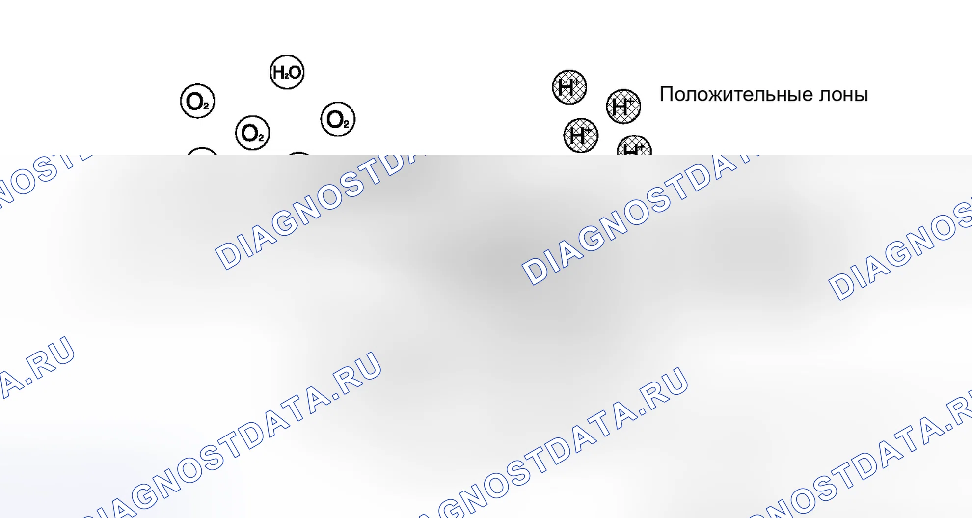 Рис. 155. Honda Accord V