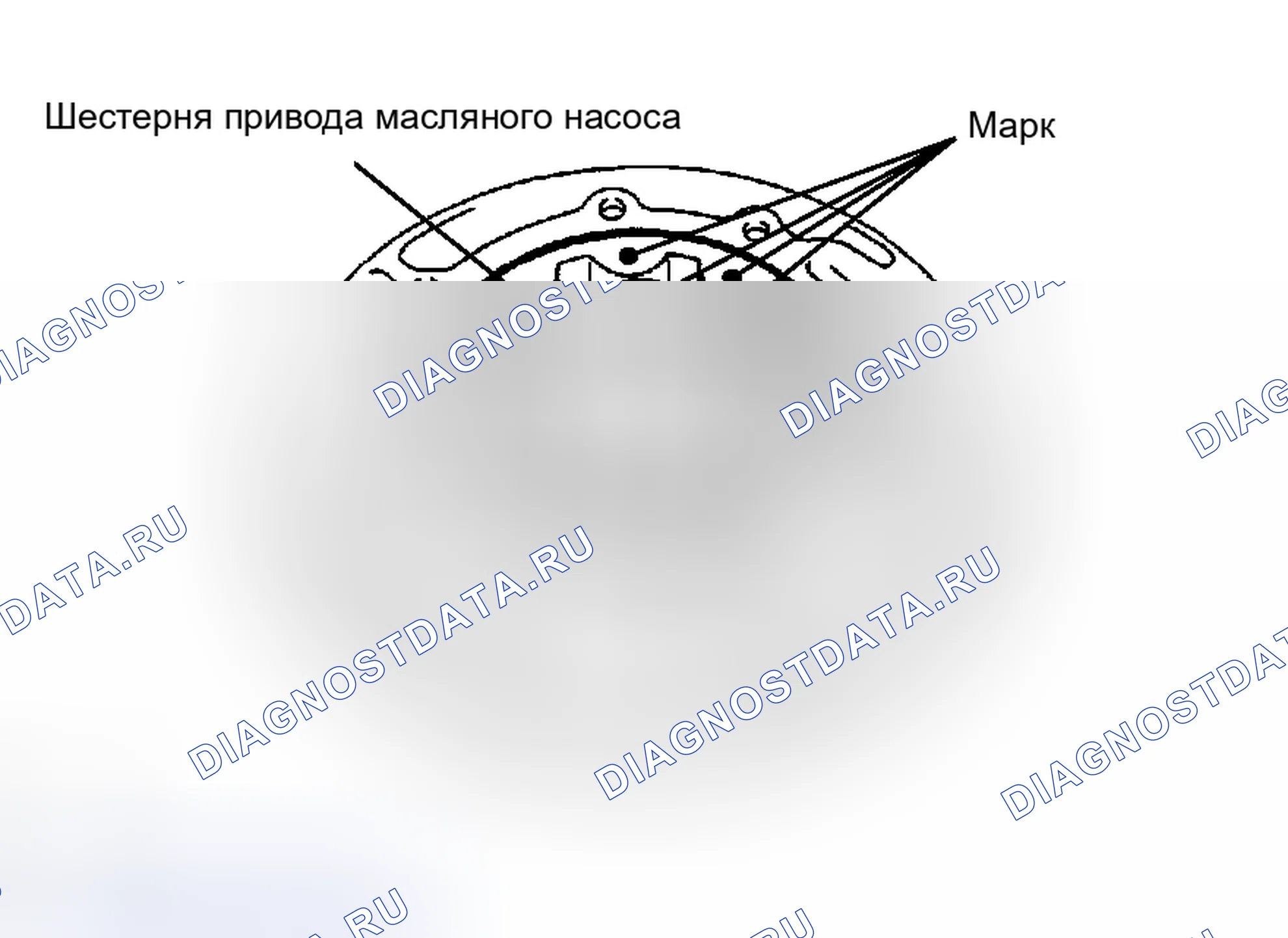 Рис. 376. Toyota Avalon XX30