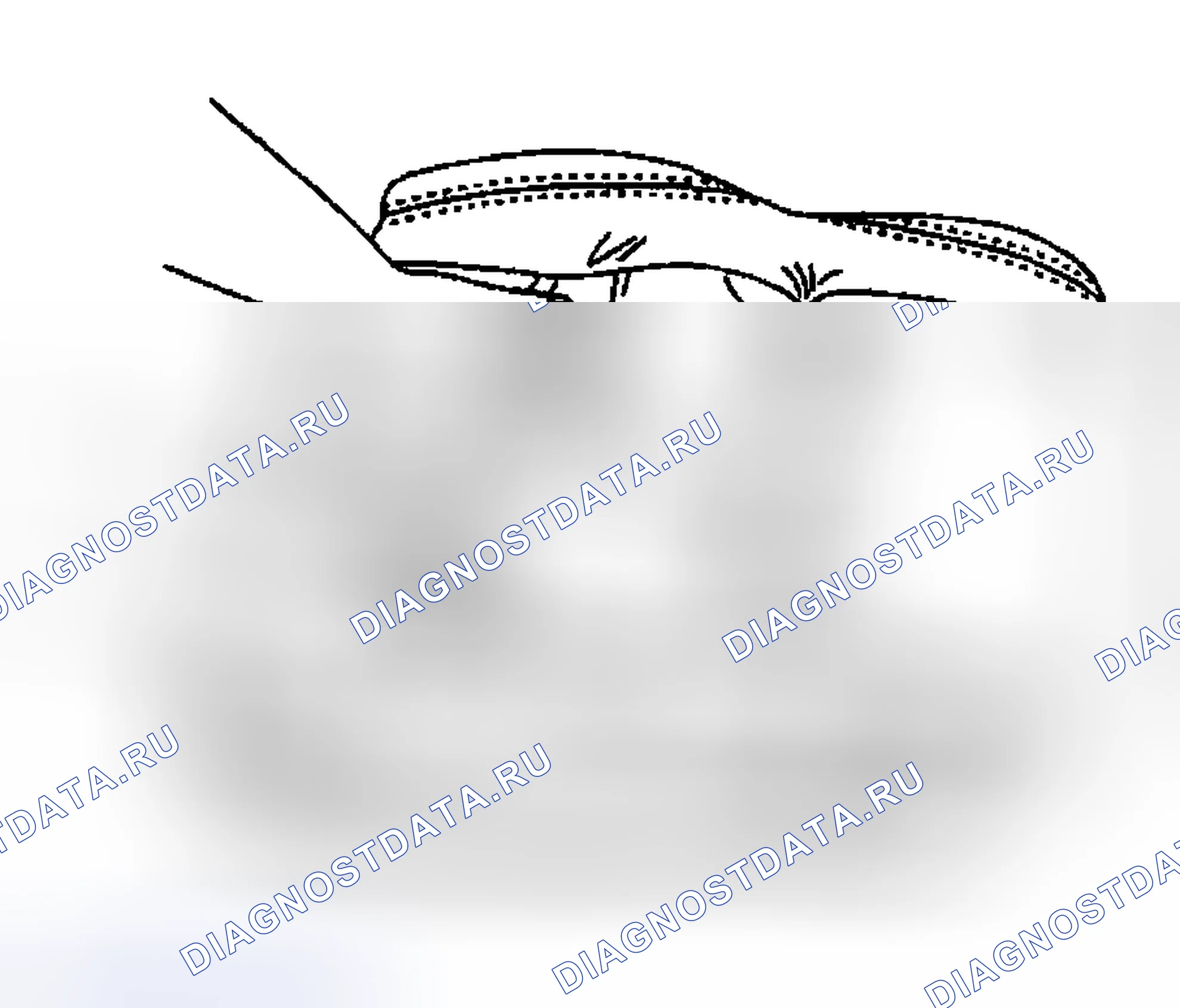 Рис. 25. Buick Regal IV