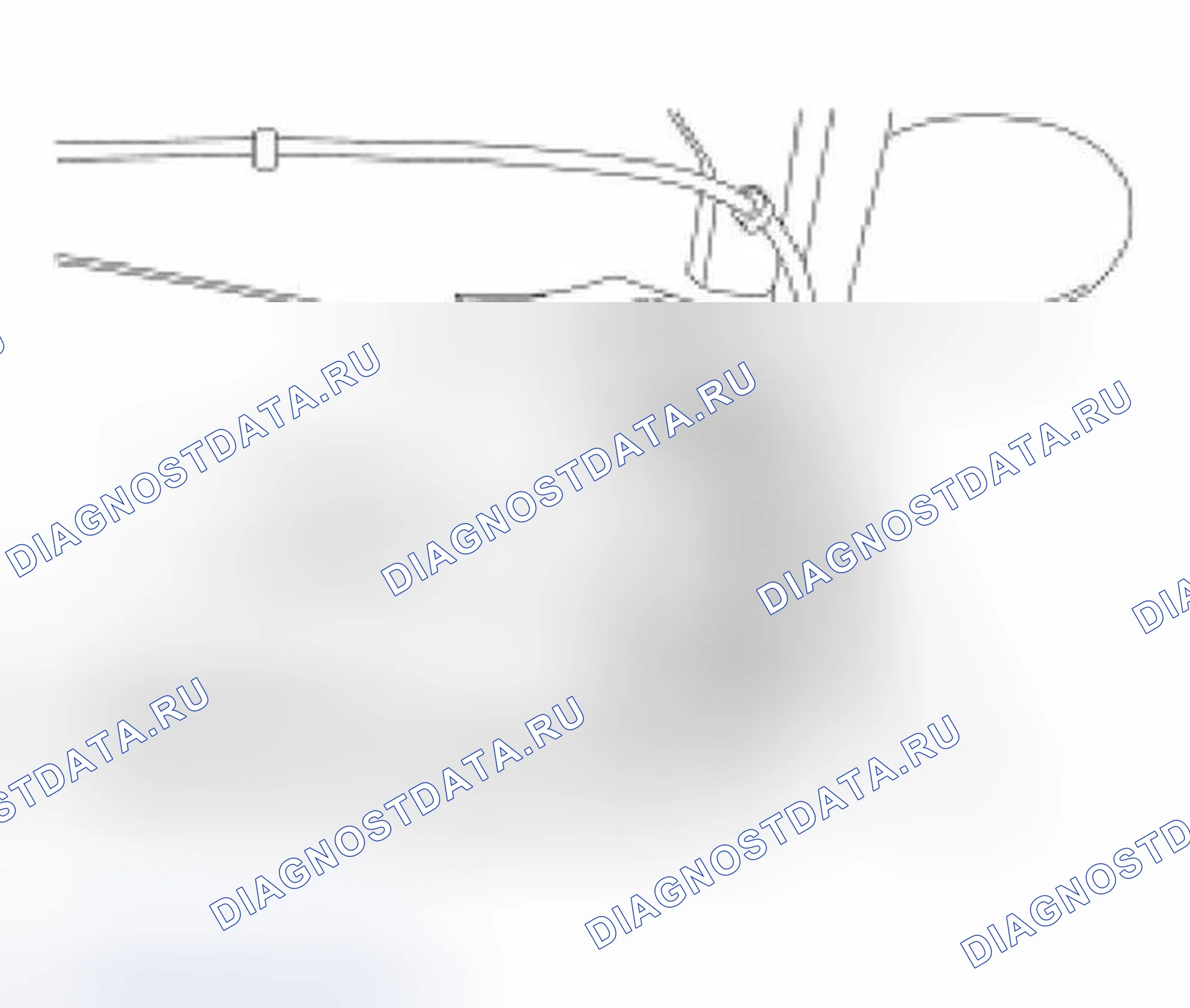 Рис. 3. Ford Focus I рестайлинг