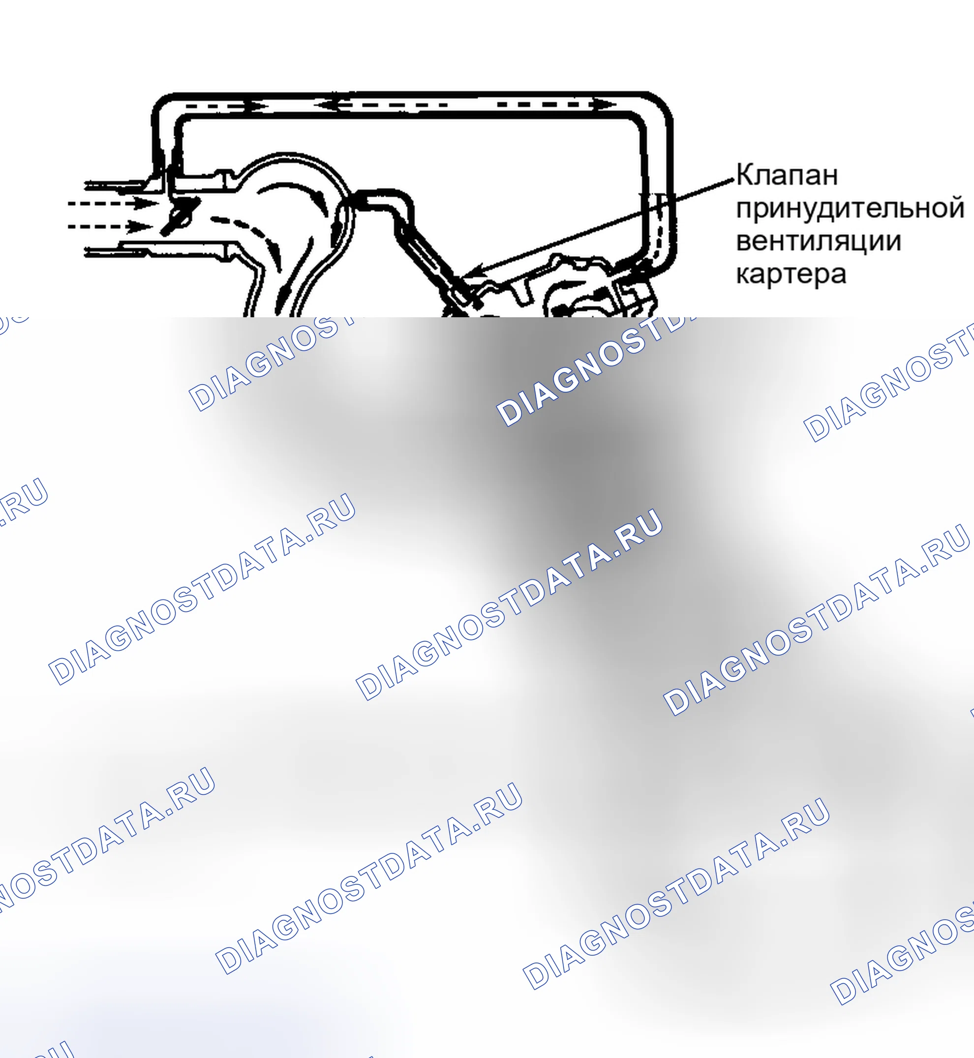 Рис. 4: ПРИНУДИТЕЛЬНАЯ ВЕНТИЛЯЦИЯ КАРТЕРА. Toyota RAV4 I