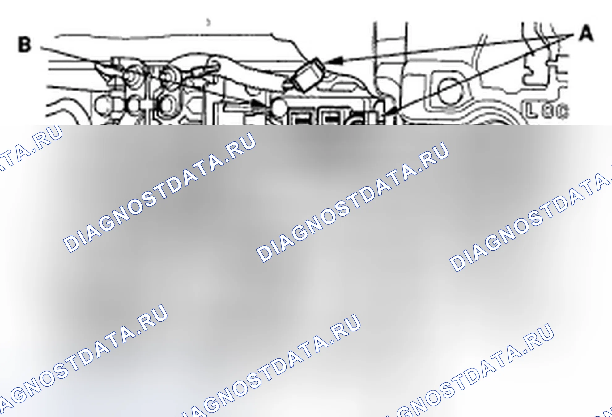 Рис. 237. Honda Accord VII рестайлинг