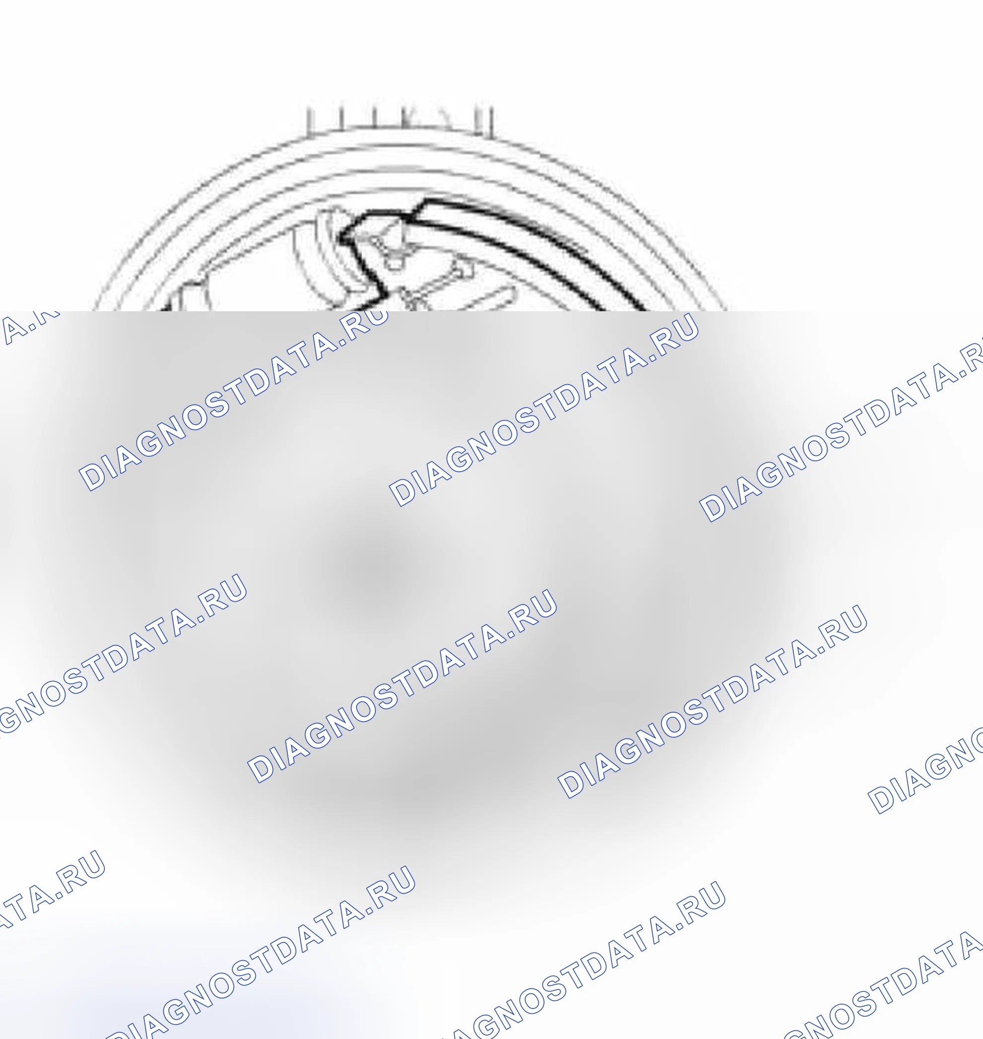 Рис. 35. Land Rover Freelander L314