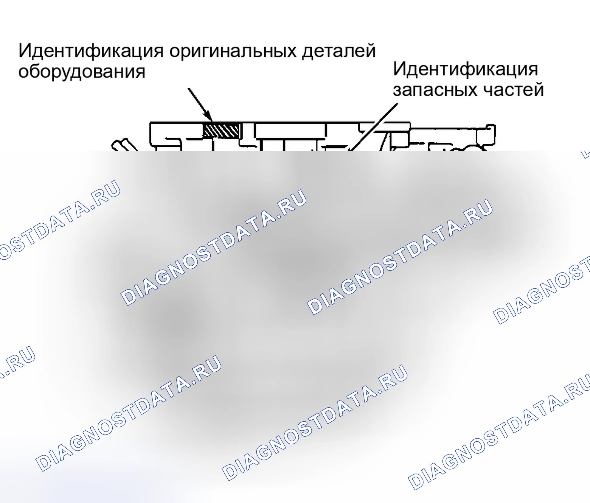Рис. 17: ИДЕНТИФИКАЦИЯ. Honda FR-V I