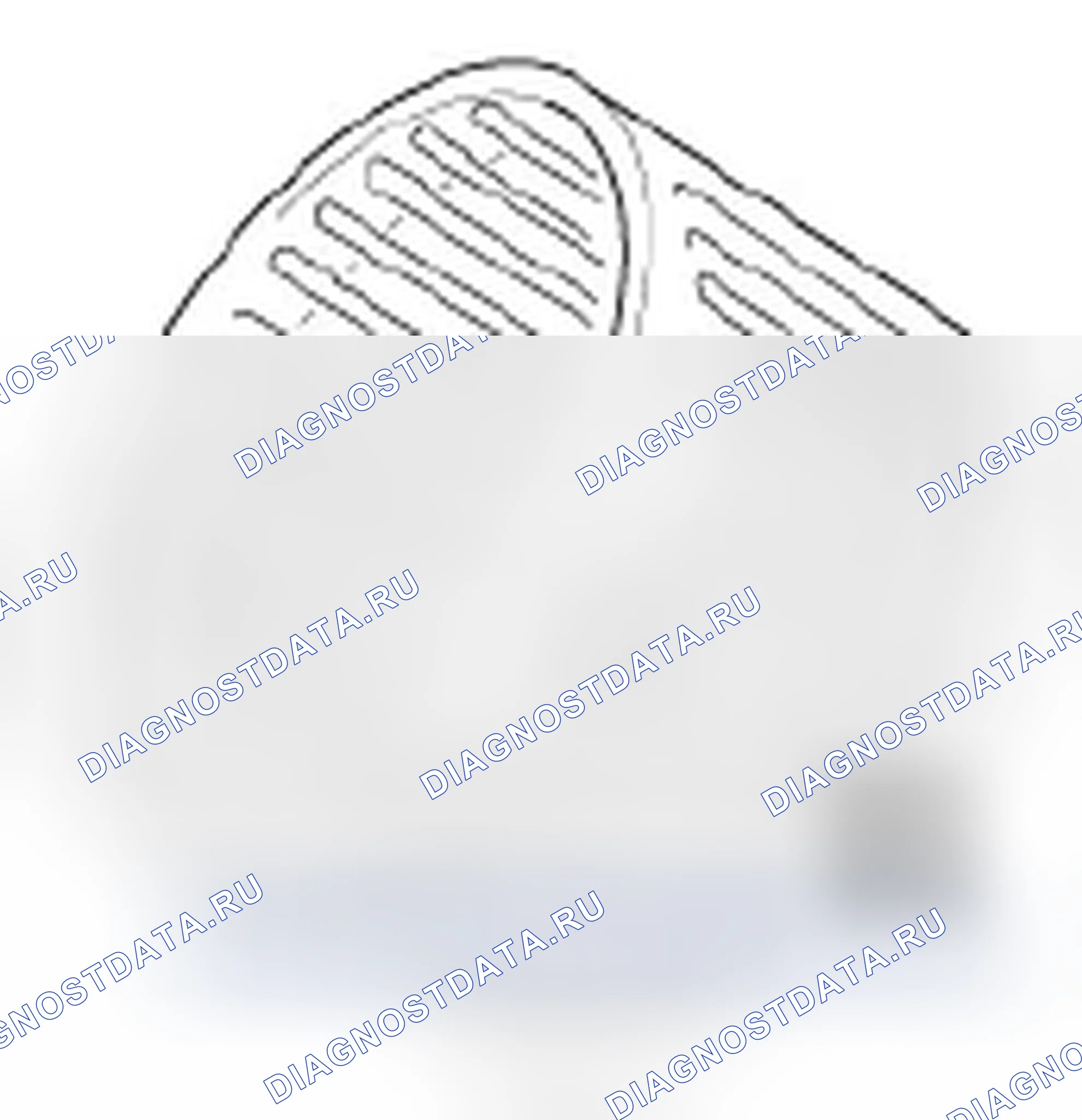 Рис. 180: Игольчатый подшипник. Hyundai Elantra IV